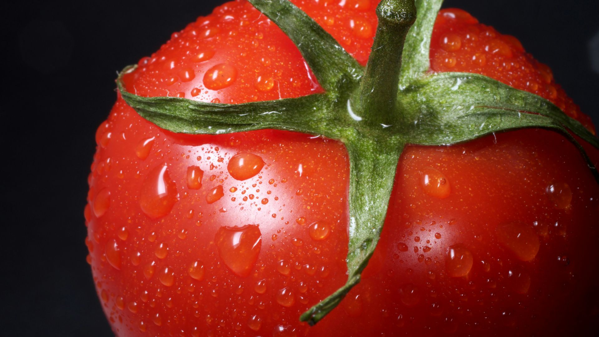closeup photo of red tomato against black background