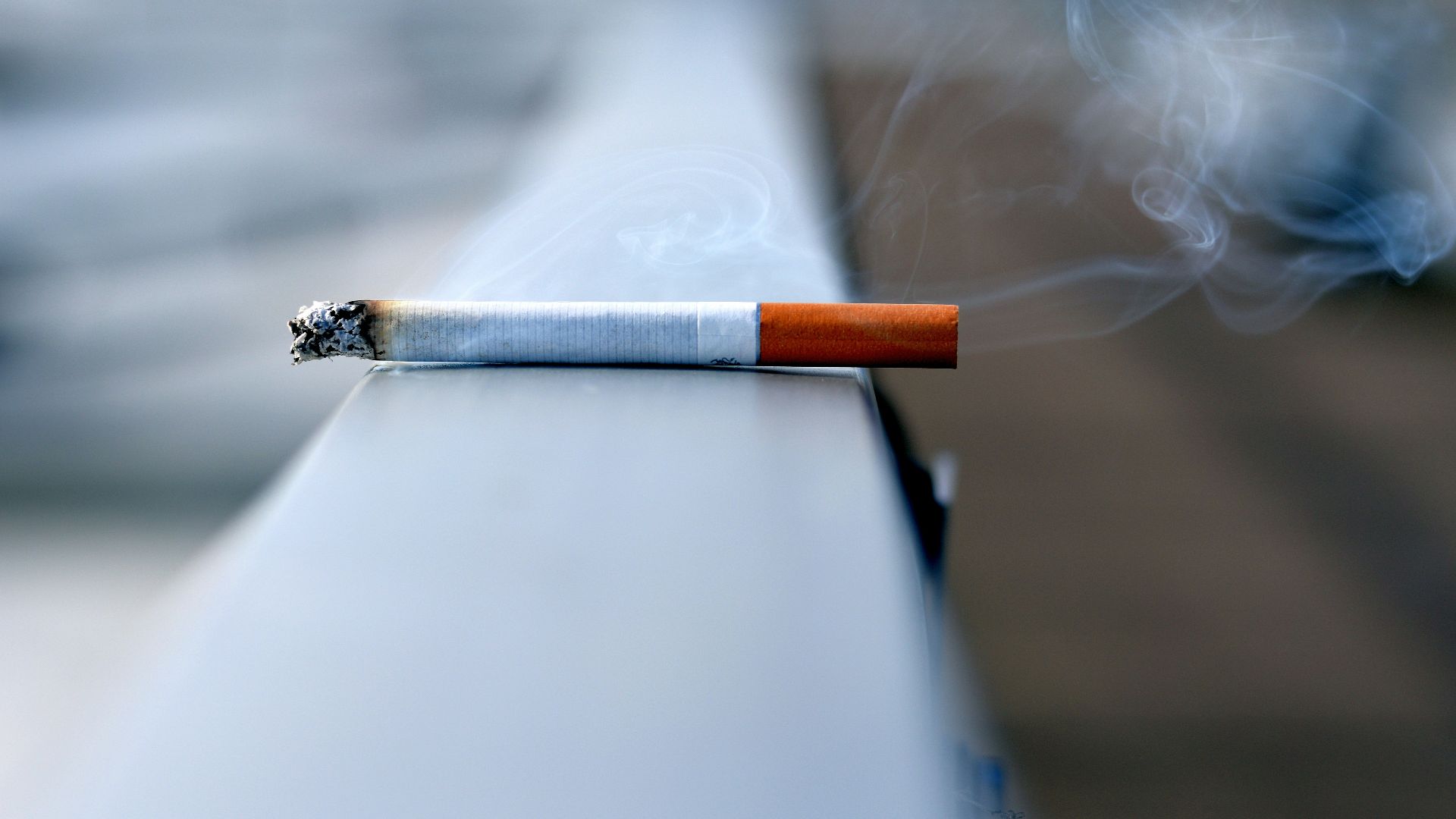white cigarette stick on white wall