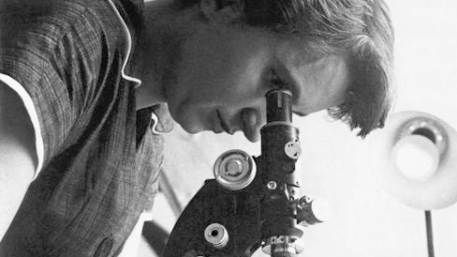 File:Rosalind Franklin (retouched).jpg