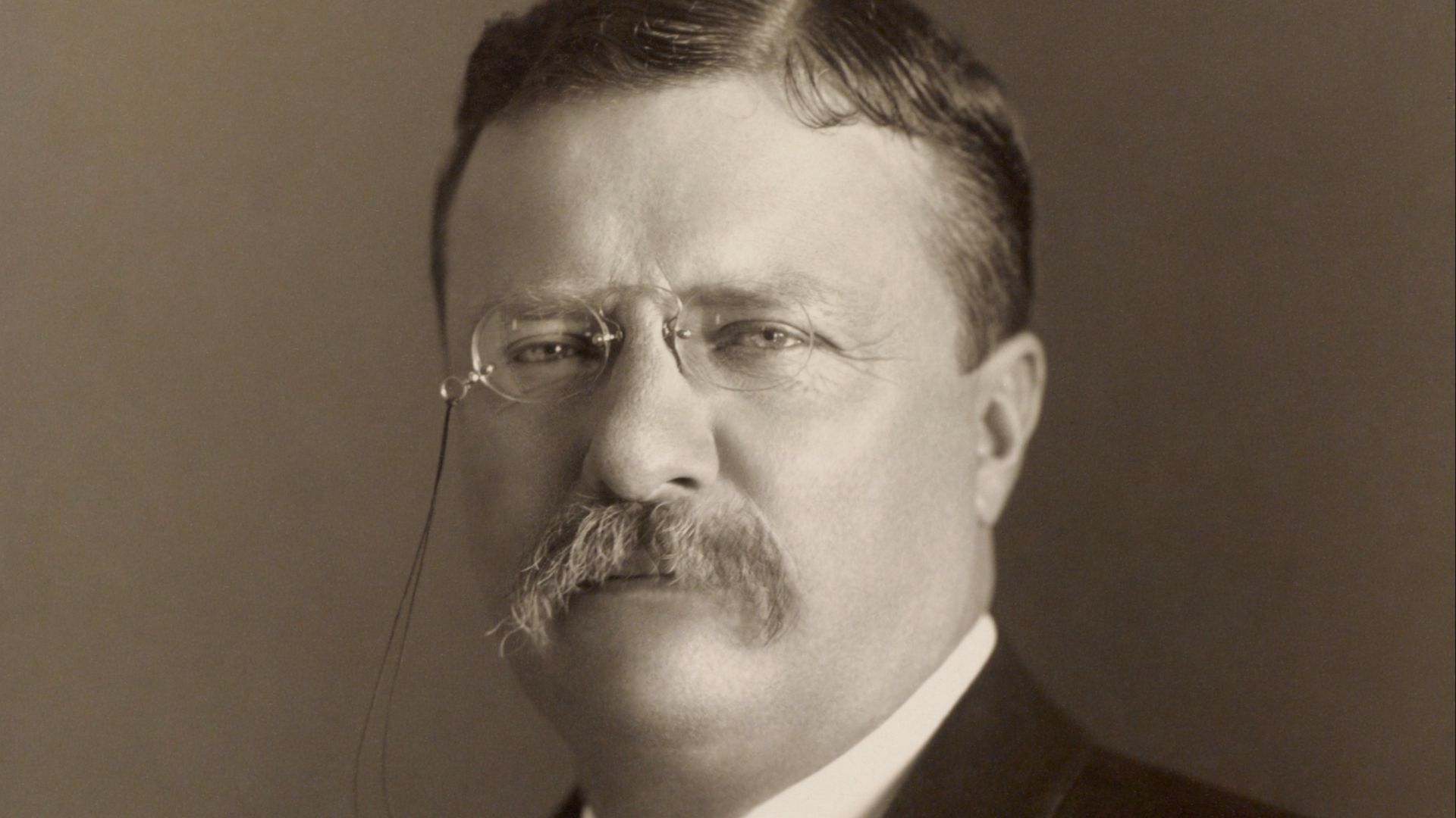 File:Theodore Roosevelt by the Pach Bros.jpg