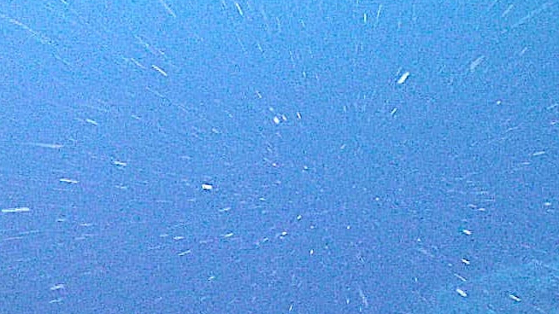 File:Marine snow.jpg