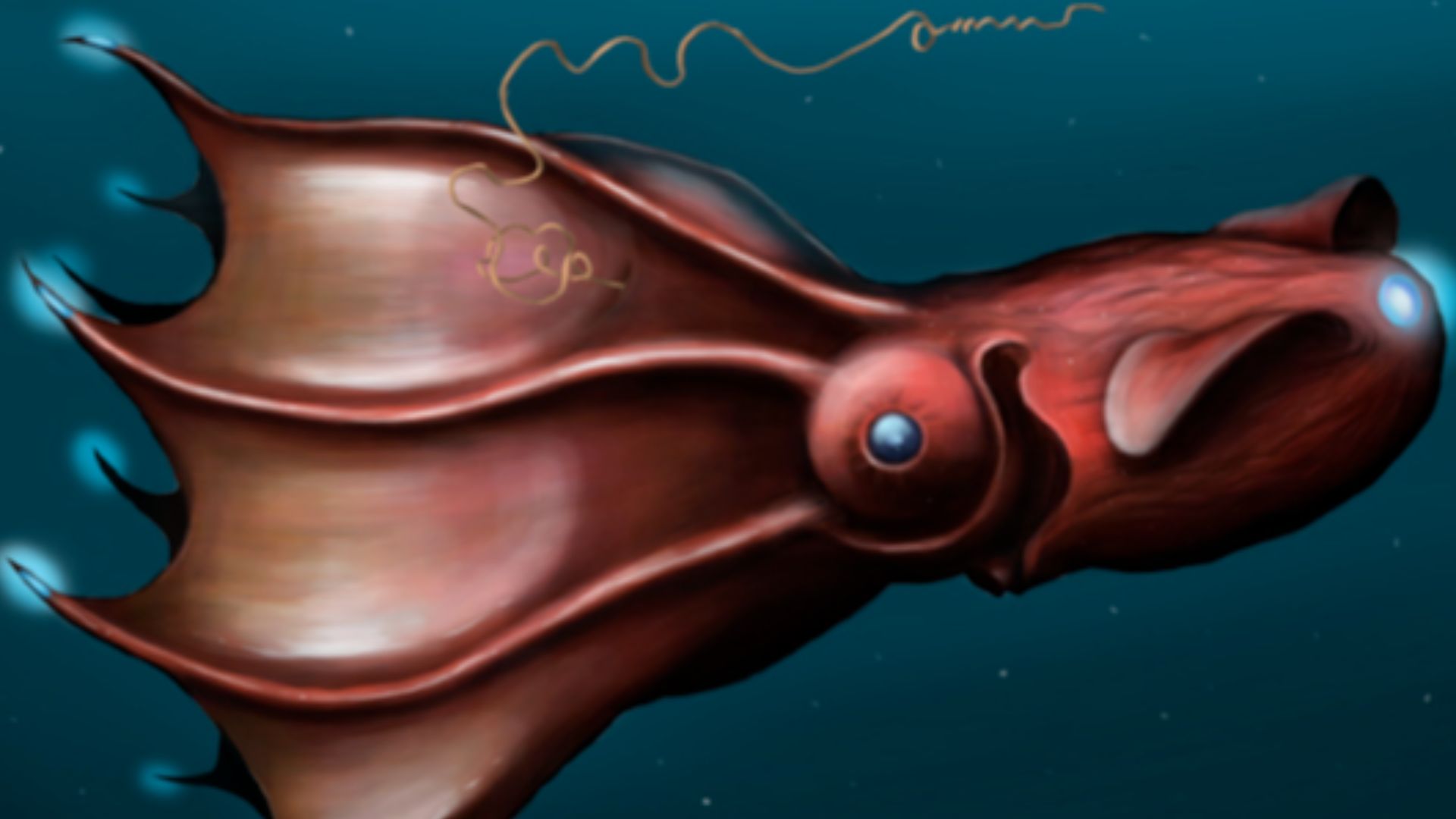 File:Vampire des abysses.jpg