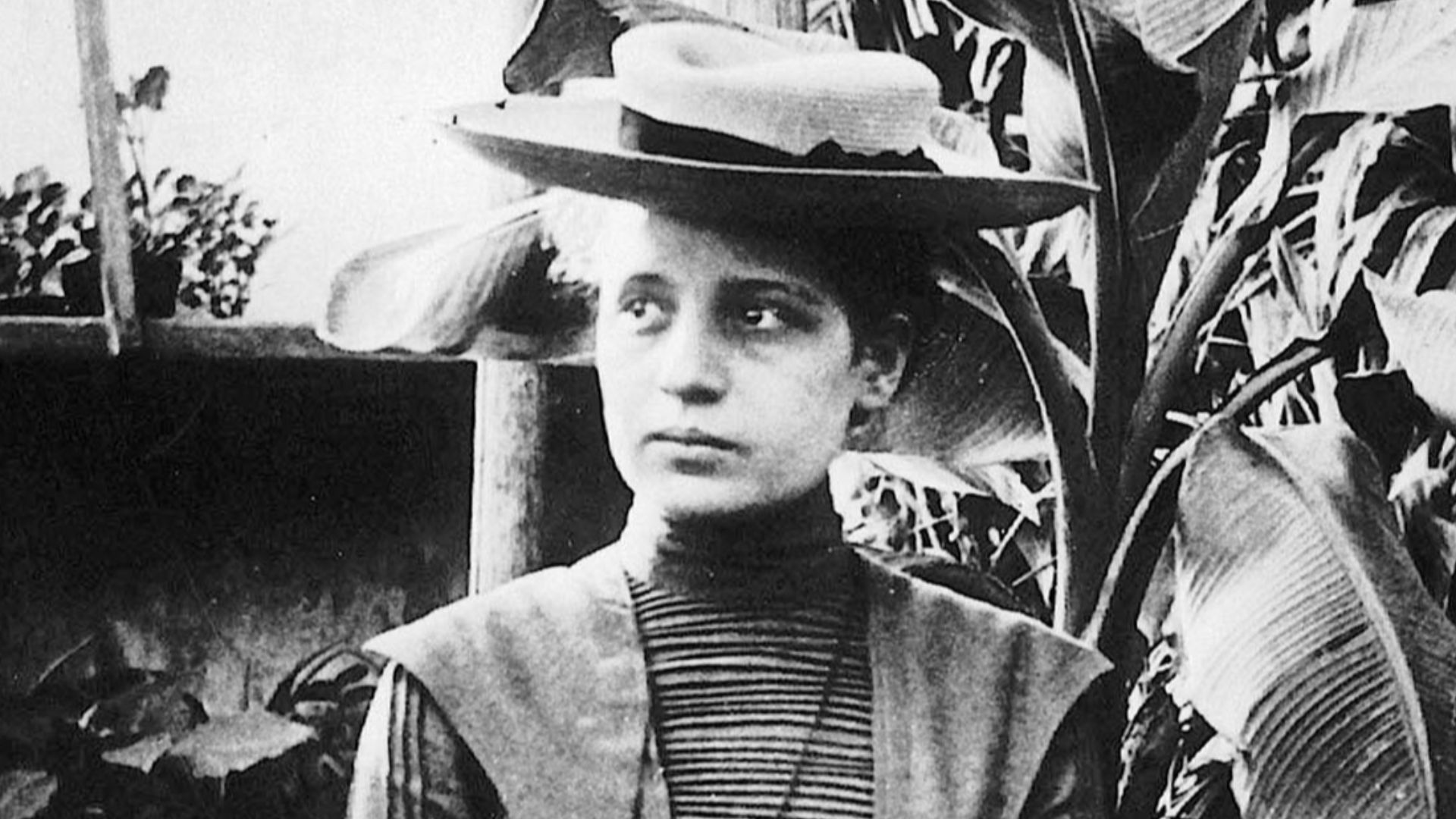File:Lise Meitner12.jpg