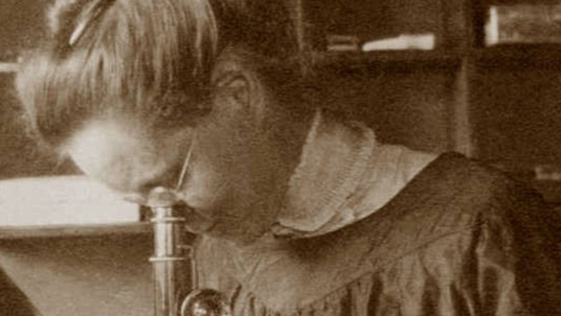 File:Nettie Stevens2.jpg