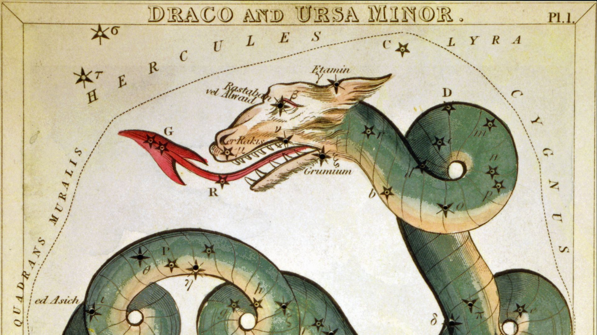 File:Draco and Ursa Minor.jpg