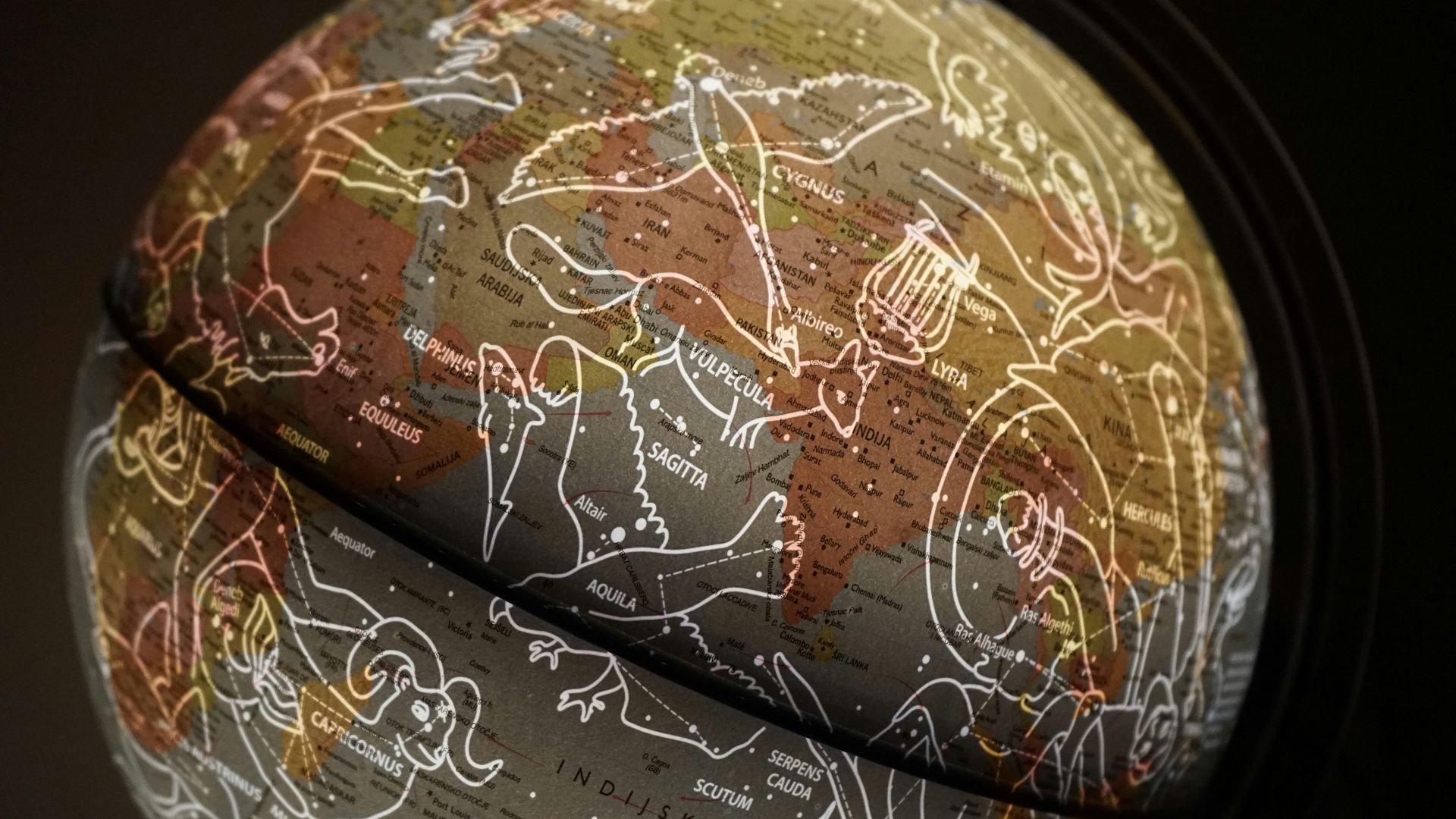 brown and white printed textile