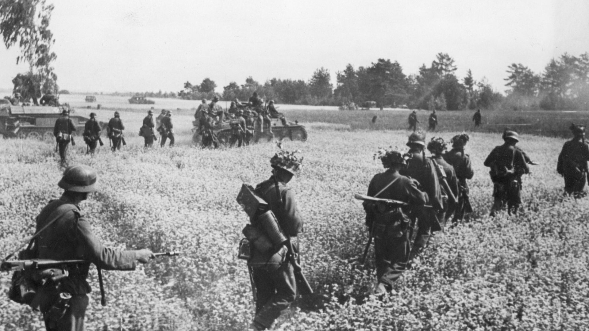 File:Niemiecka piechota i wojska pancerne wśród pól rzepakowych na froncie wschodnim. (2-975).jpg