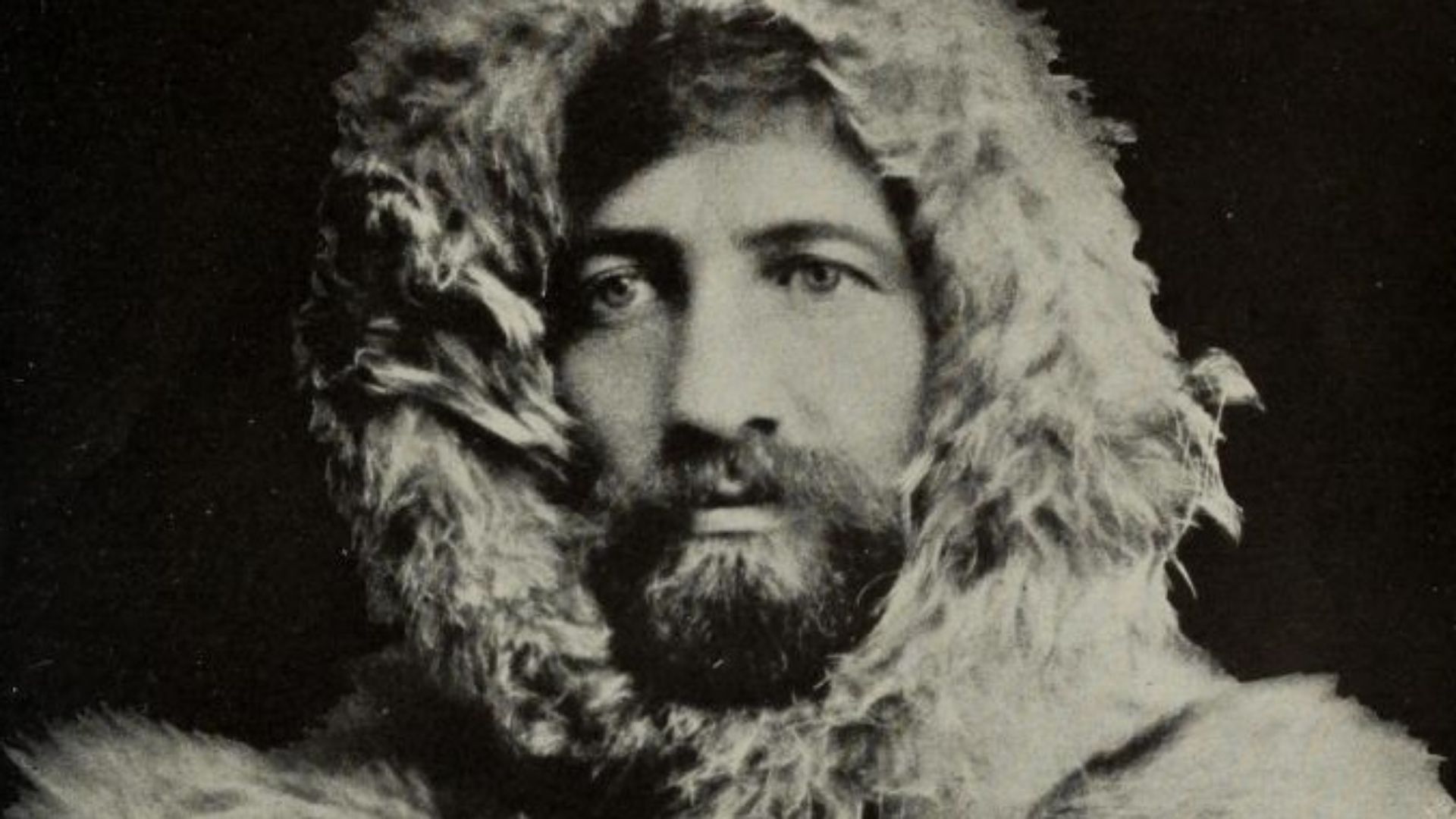 File:Picture of Frederick Cook.jpg