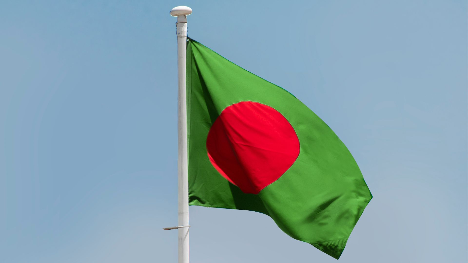 a flag on a pole