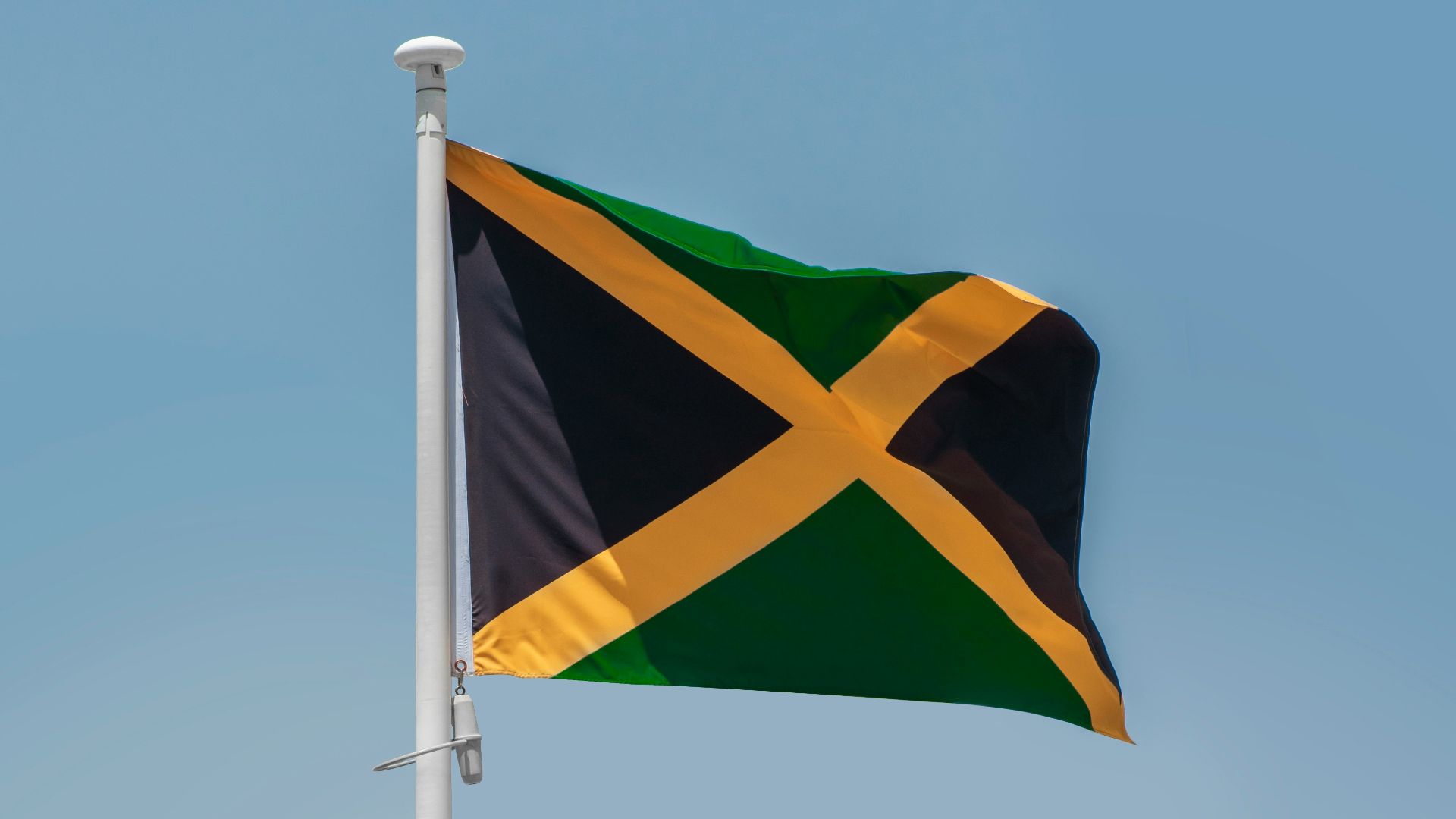 a flag on a pole