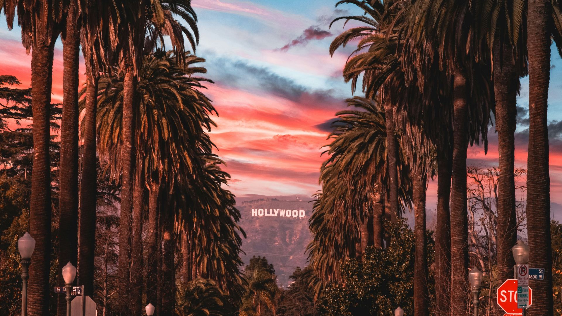 people sitting on chairs near palm trees during night time
