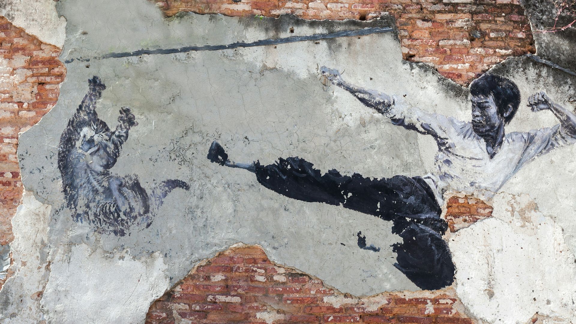 black and white bird on brown and white concrete wall