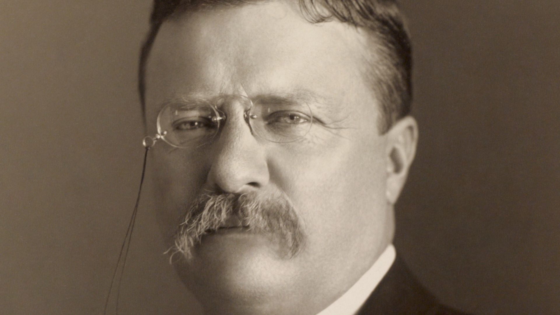 File:Theodore Roosevelt by the Pach Bros (4x5 cropped).jpg