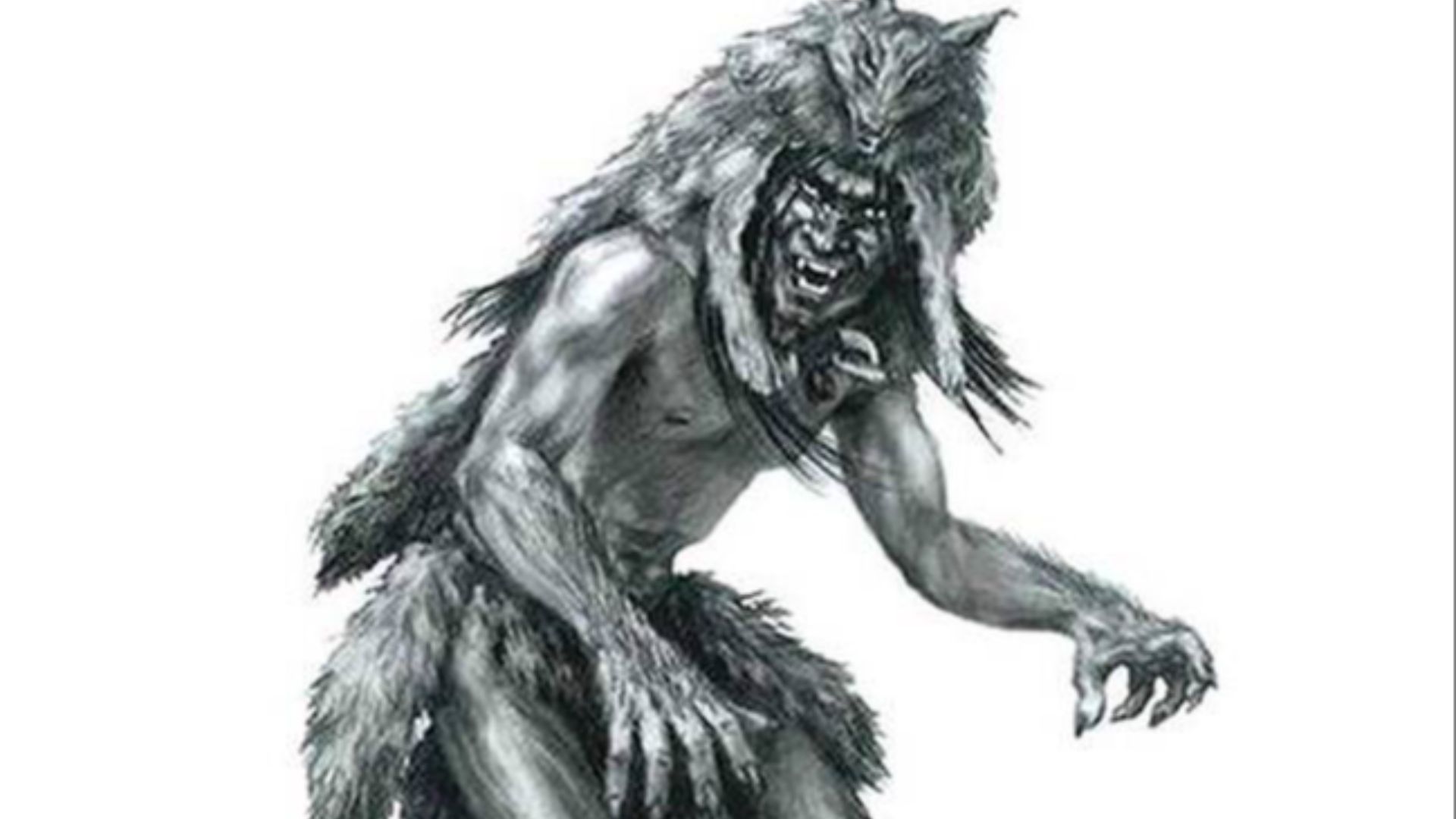 File:Navajo lore shape shifter.jpg