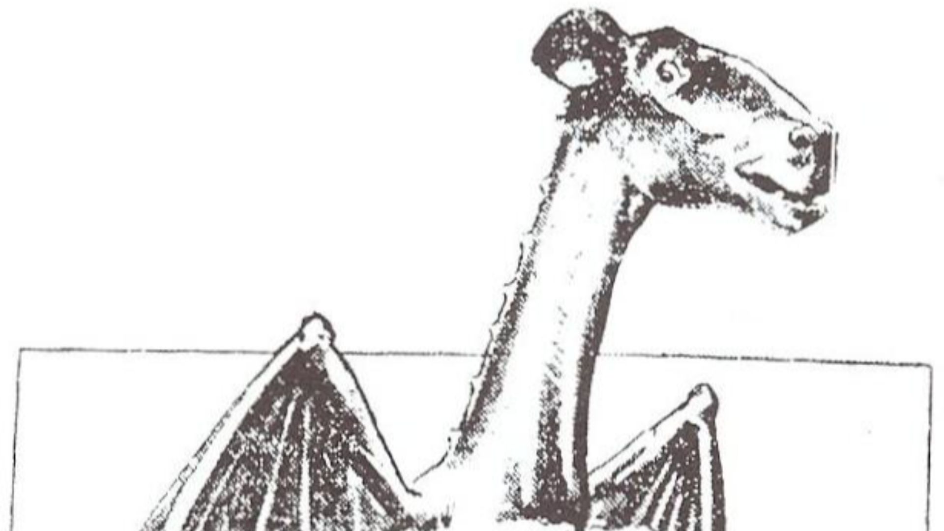 File:Jersey Devil Philadelphia Post 1909.jpg