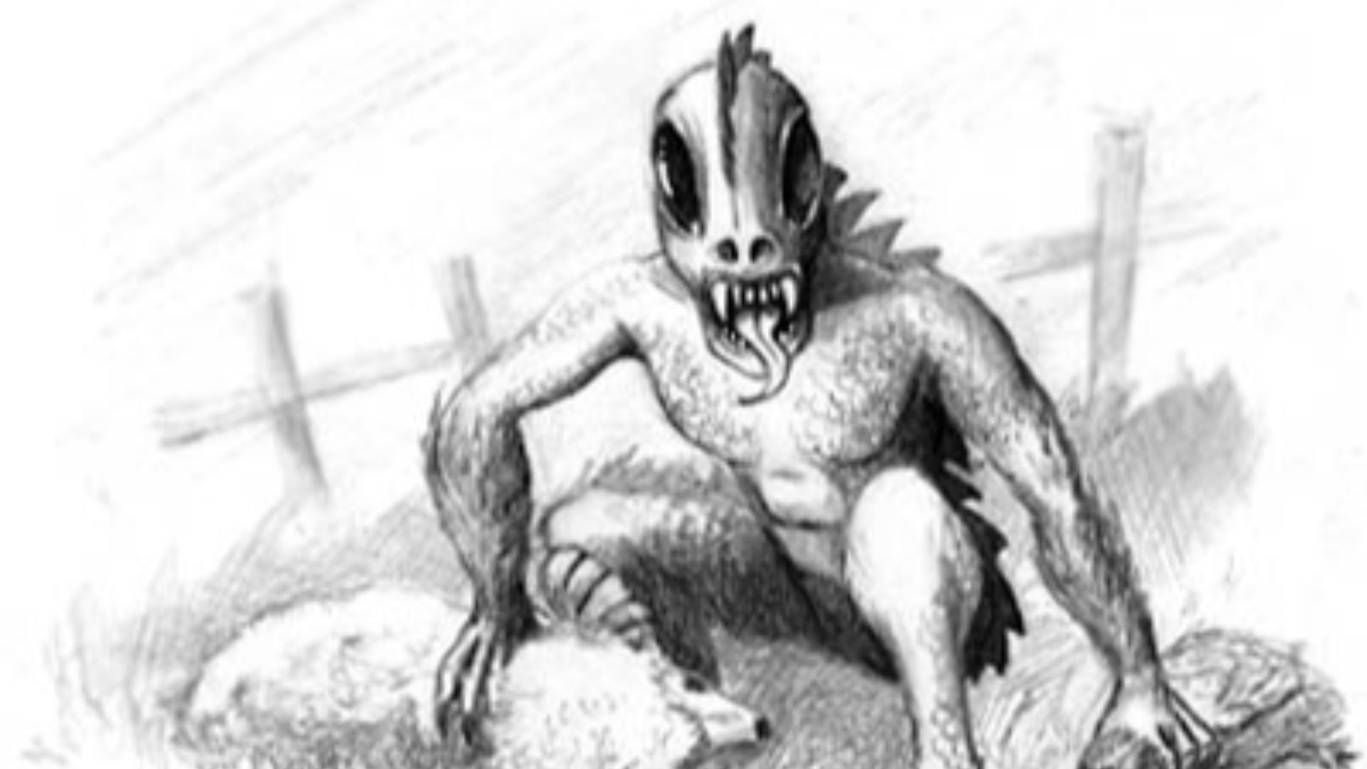 File:Chupacabra (artist's rendition).jpg