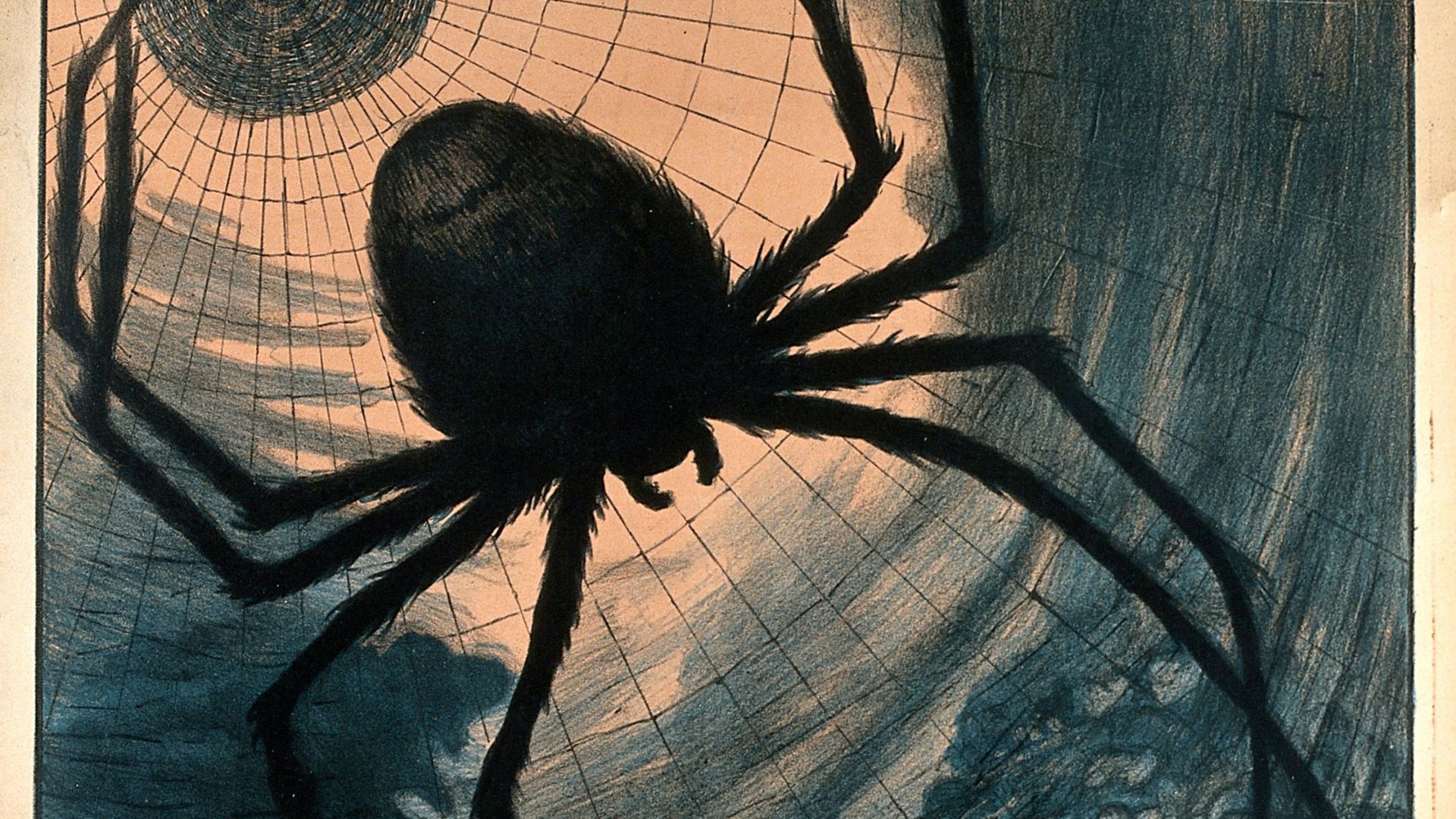 File:A giant spider catching people Wellcome V0050571.jpg
