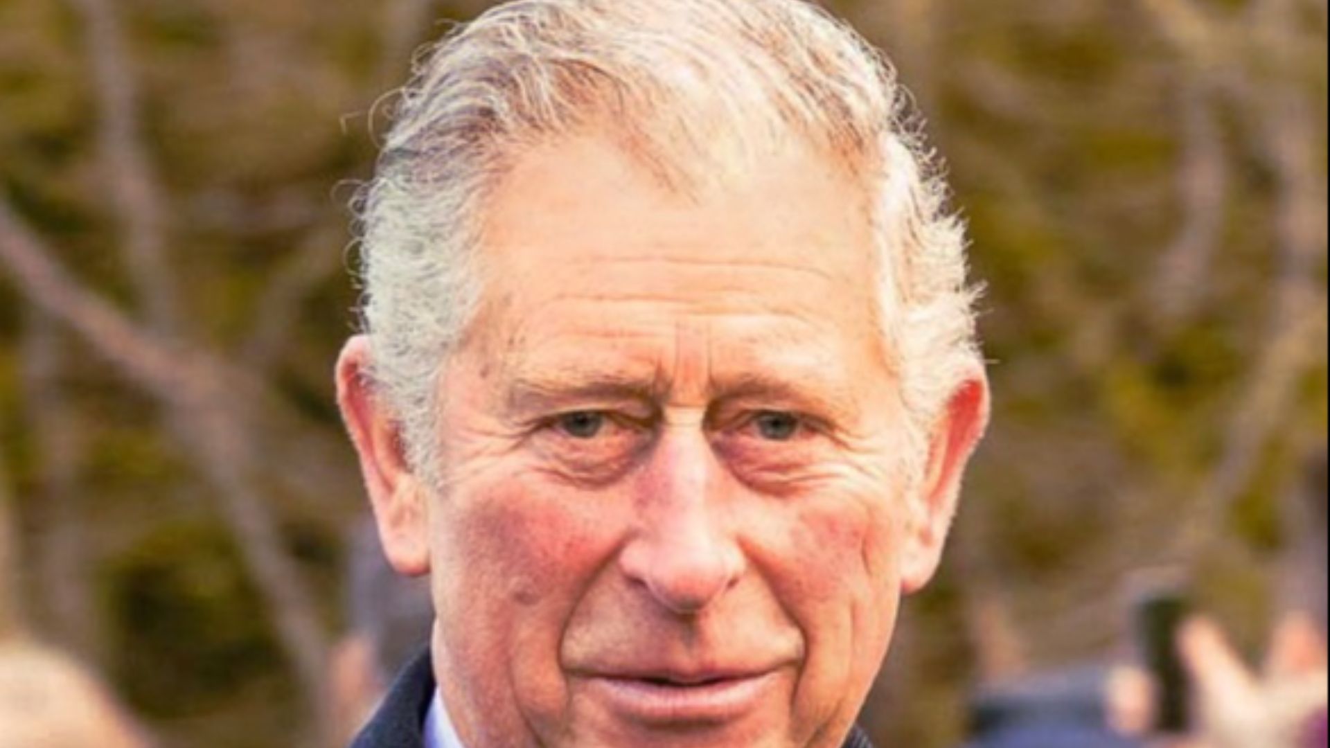 File:Charles Prince of Wales.jpg