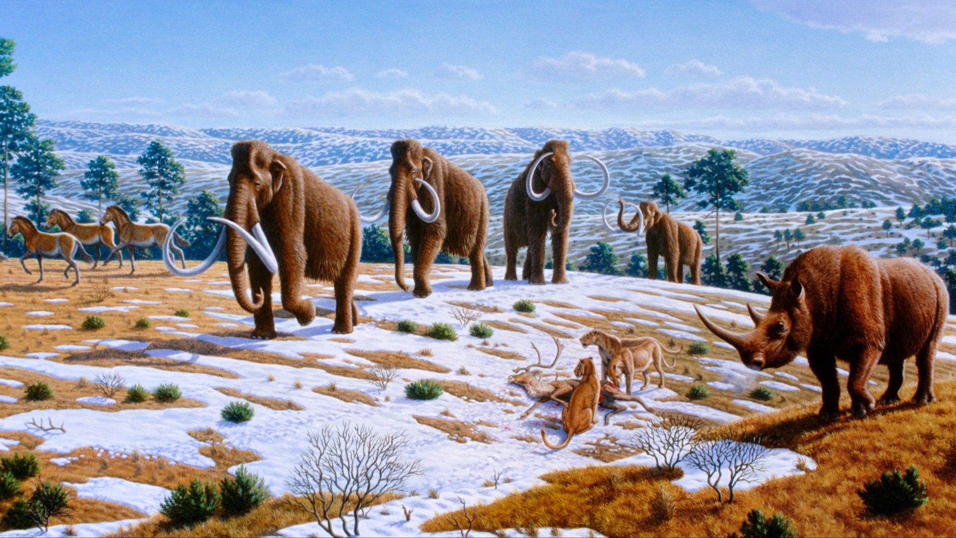 File:Ice age fauna of northern Spain - Mauricio Antón.jpg
