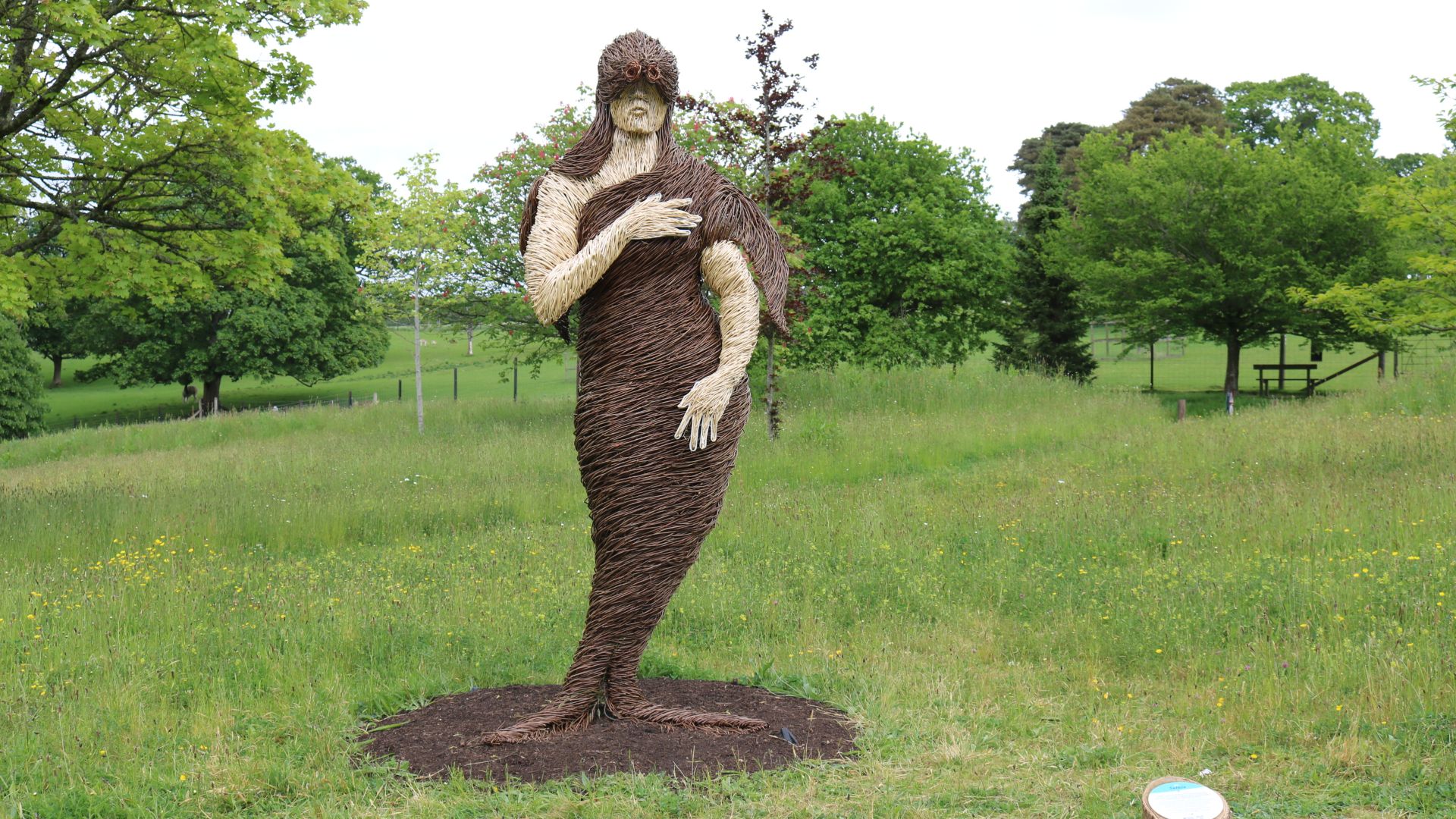 File:Selkie, Culzean Castle ^ Country Park - geograph.org.uk - 6857977.jpg