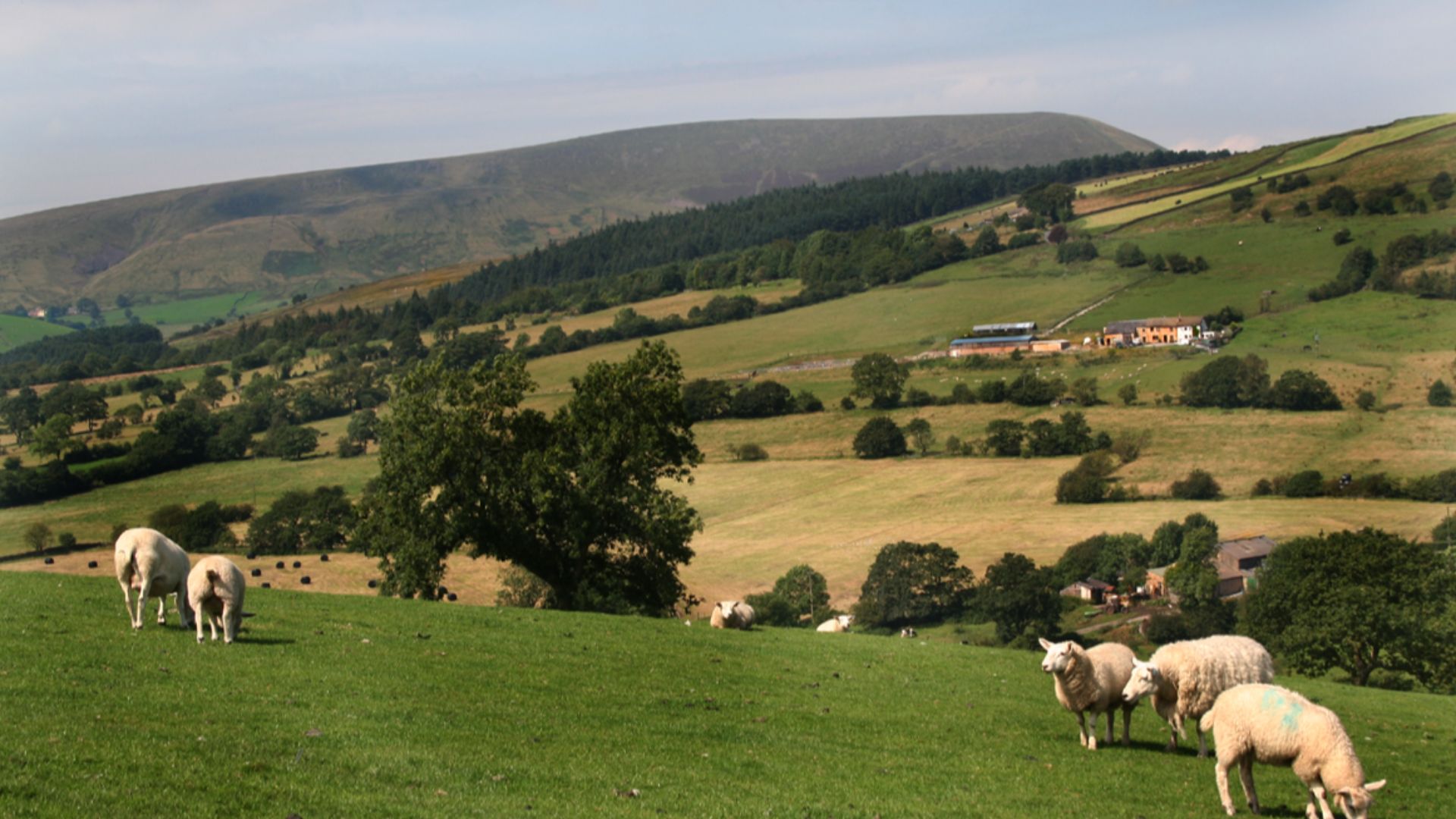 File:This Way To Pendle Hill (geograph 2134686).jpg