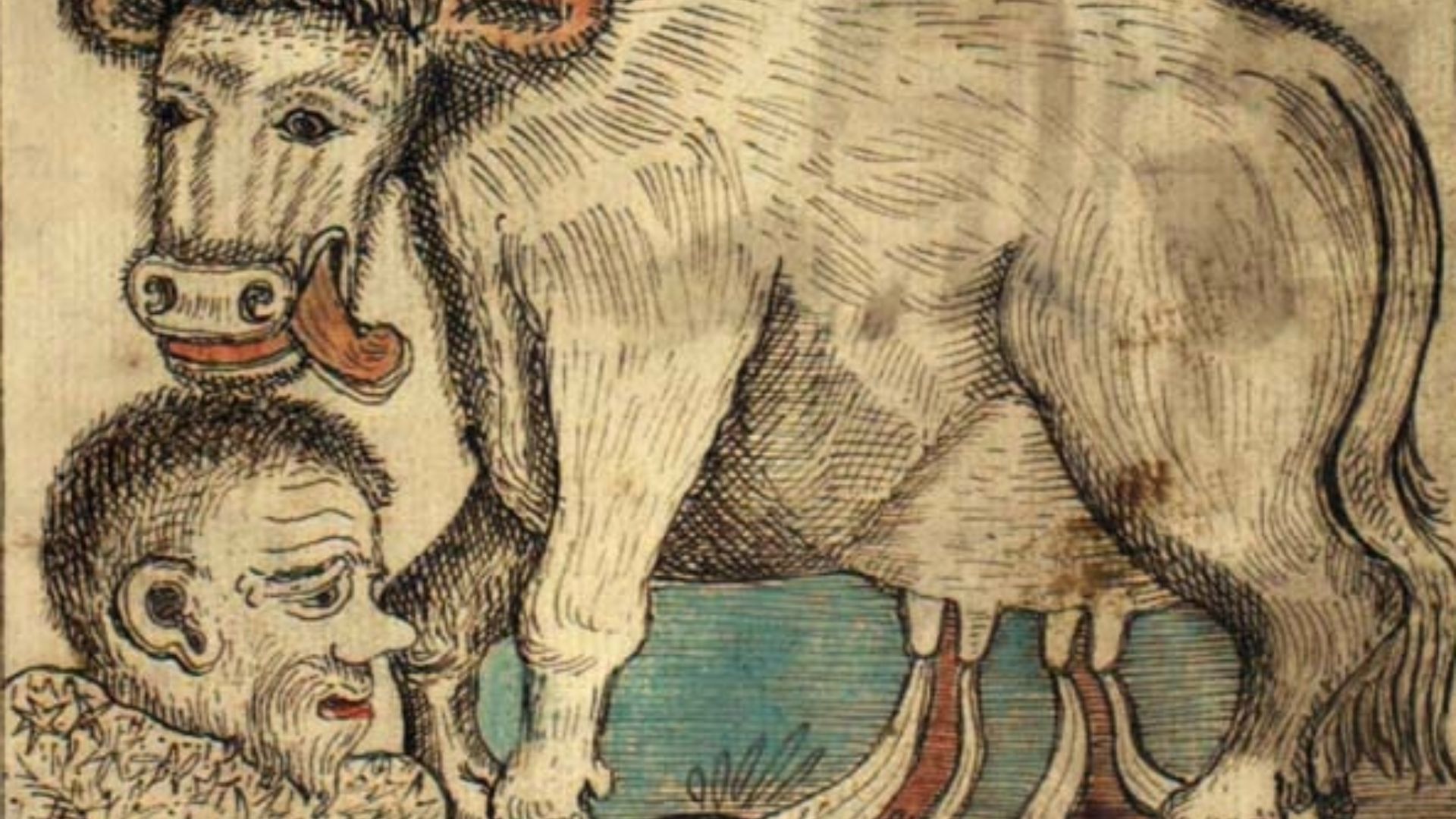 File:Treated NKS audhumla.jpg