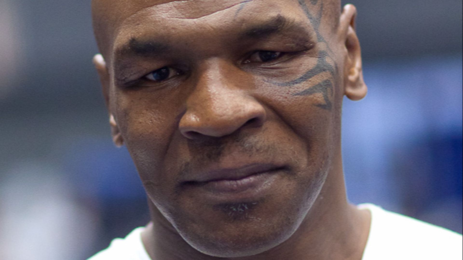 File:Mike Tyson Portrait.jpg