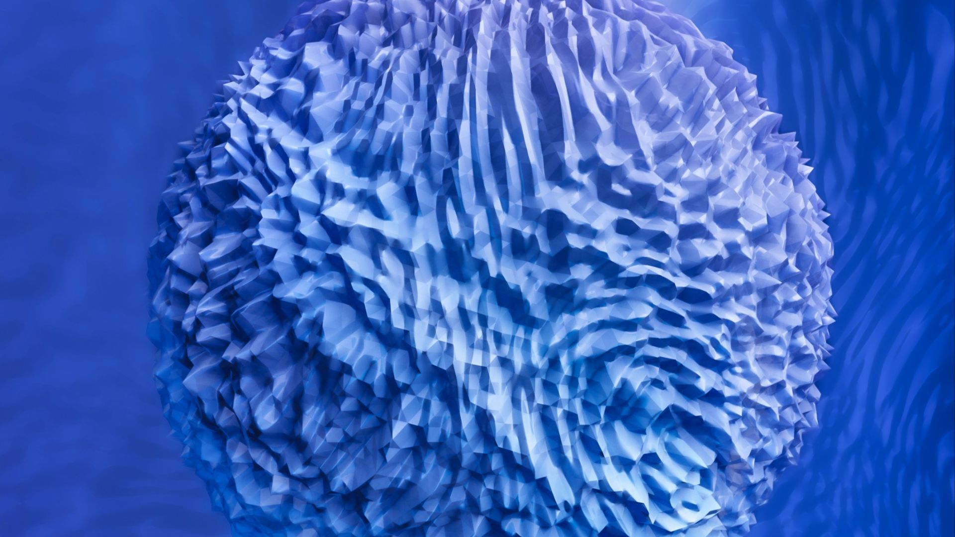 a close up of a blue object in the water