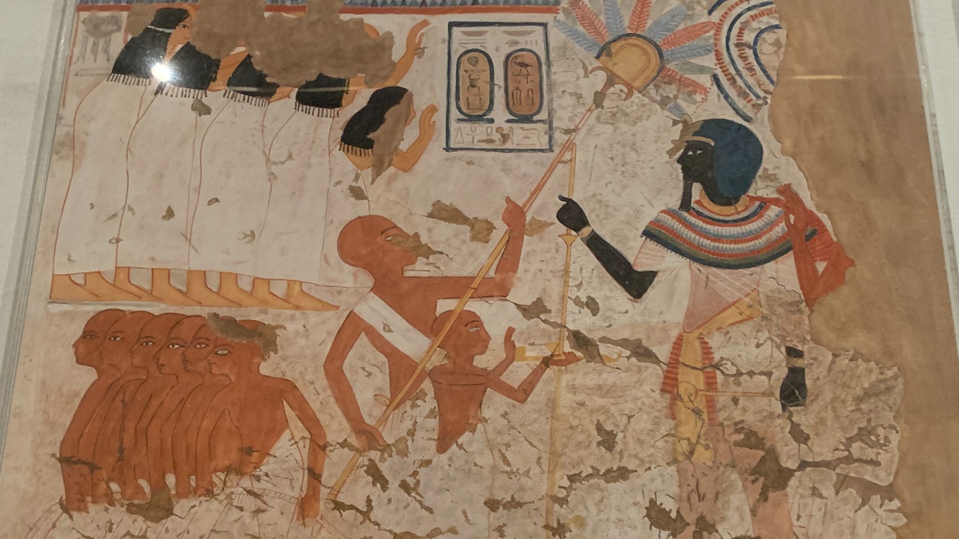 File:Thutmose I, MET Museum, NYC.jpg