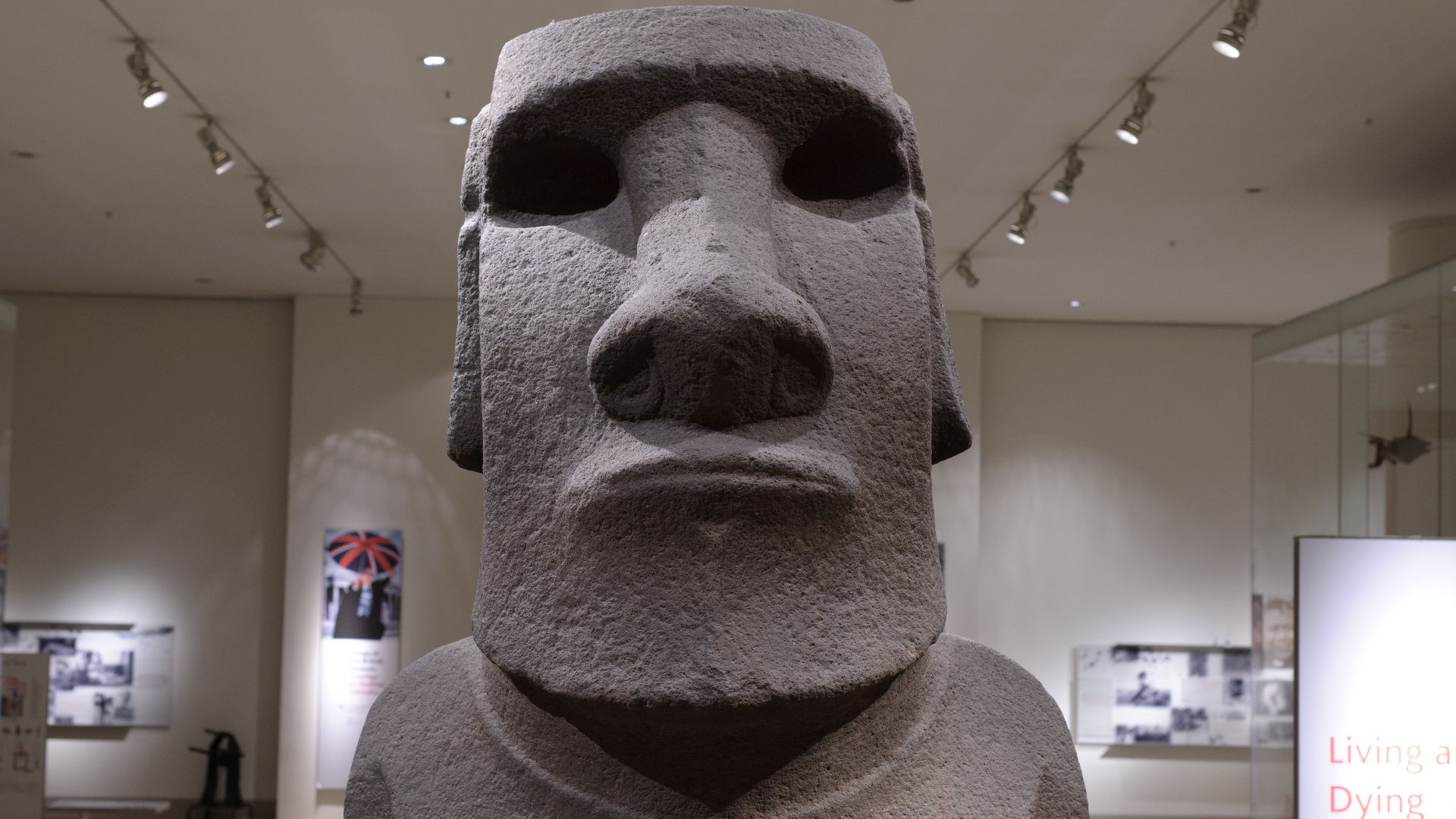 File:Hoa Hakananai'a.jpg