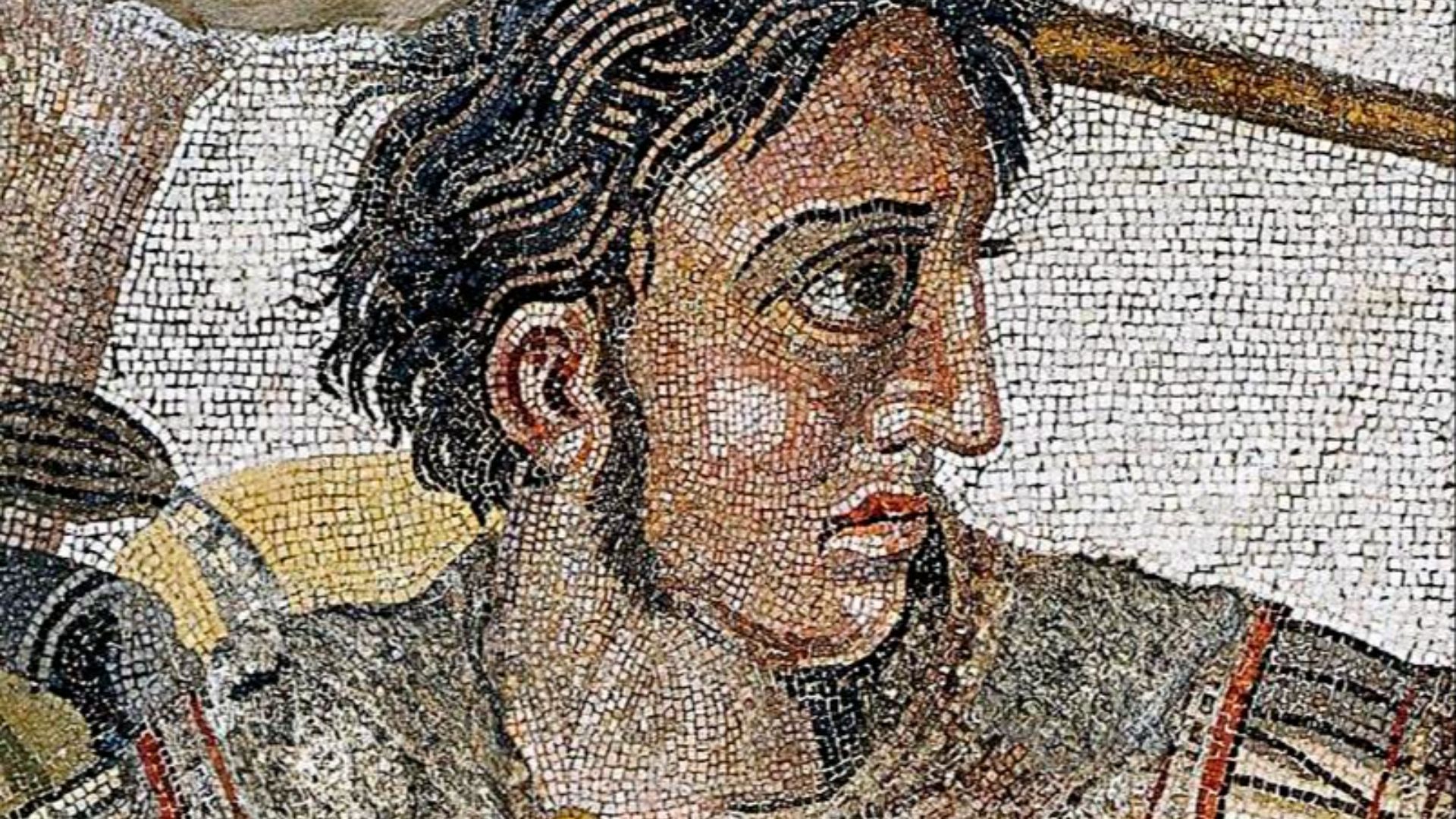 File:Alexander the Great mosaic (cropped).jpg