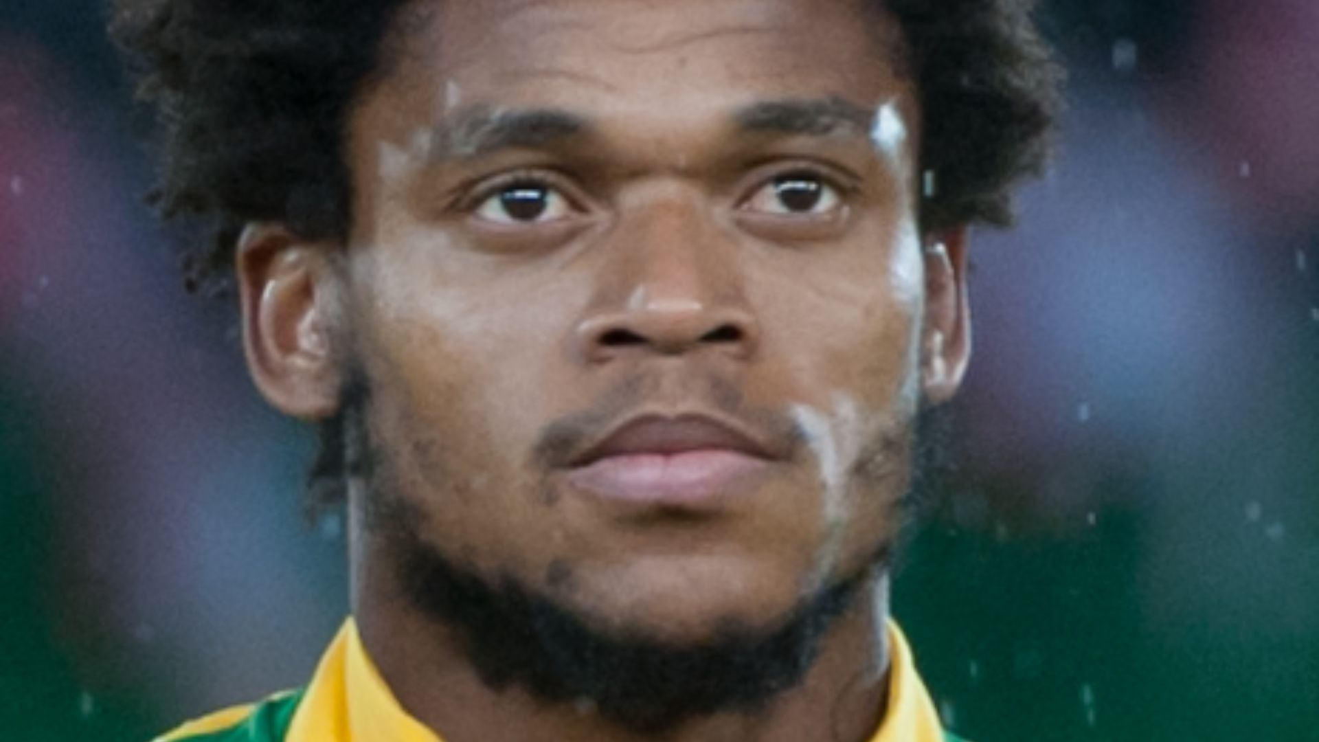 File:20141118 AUTBRA 5079.jpg