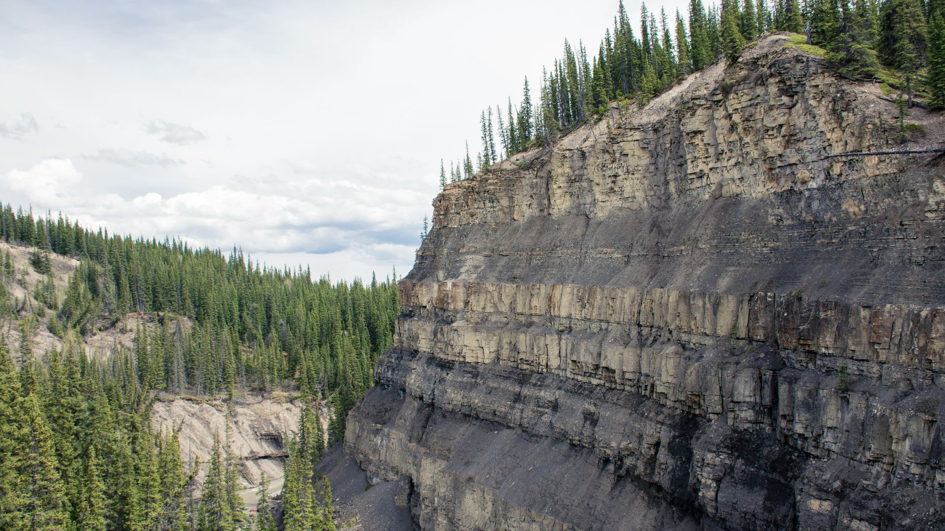 green trees on brown rocky mountain during daytime