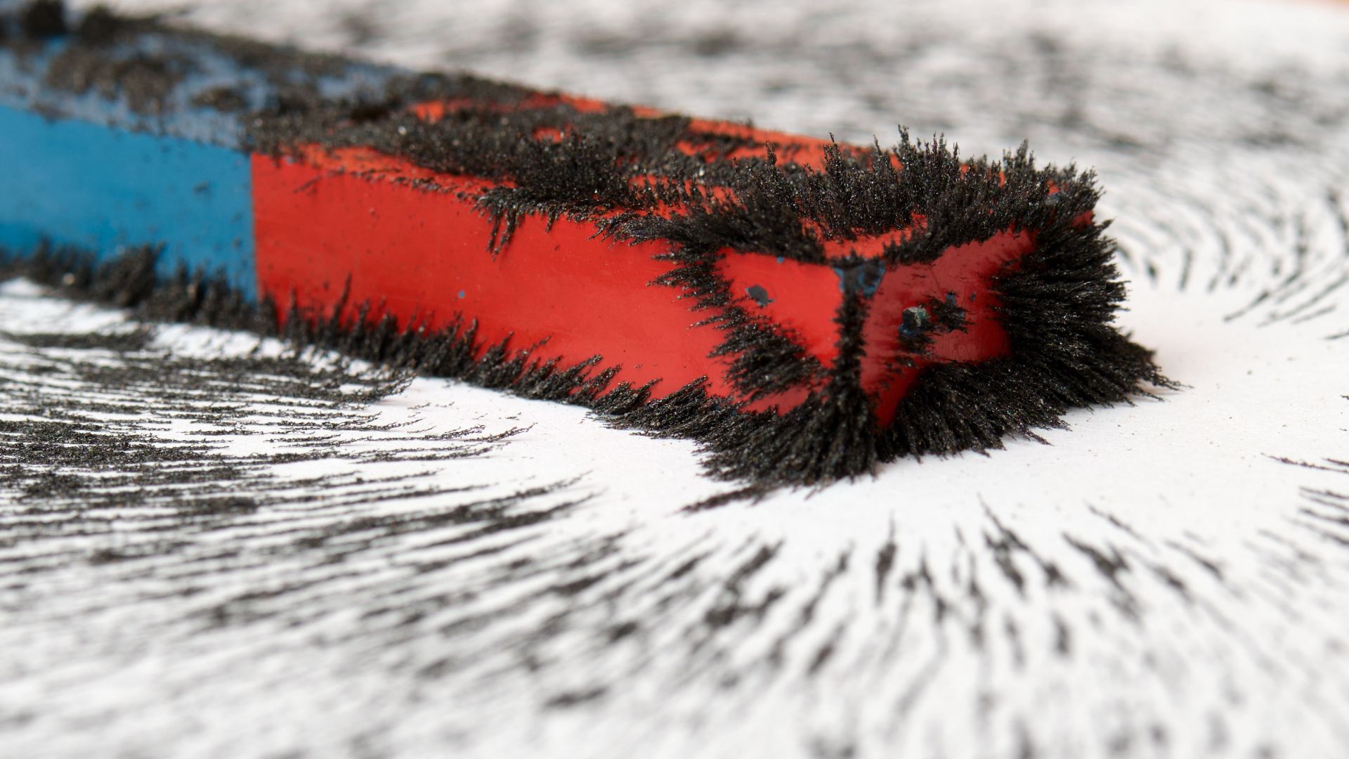 File:Metal shavings around bar magnet (close-up).jpg