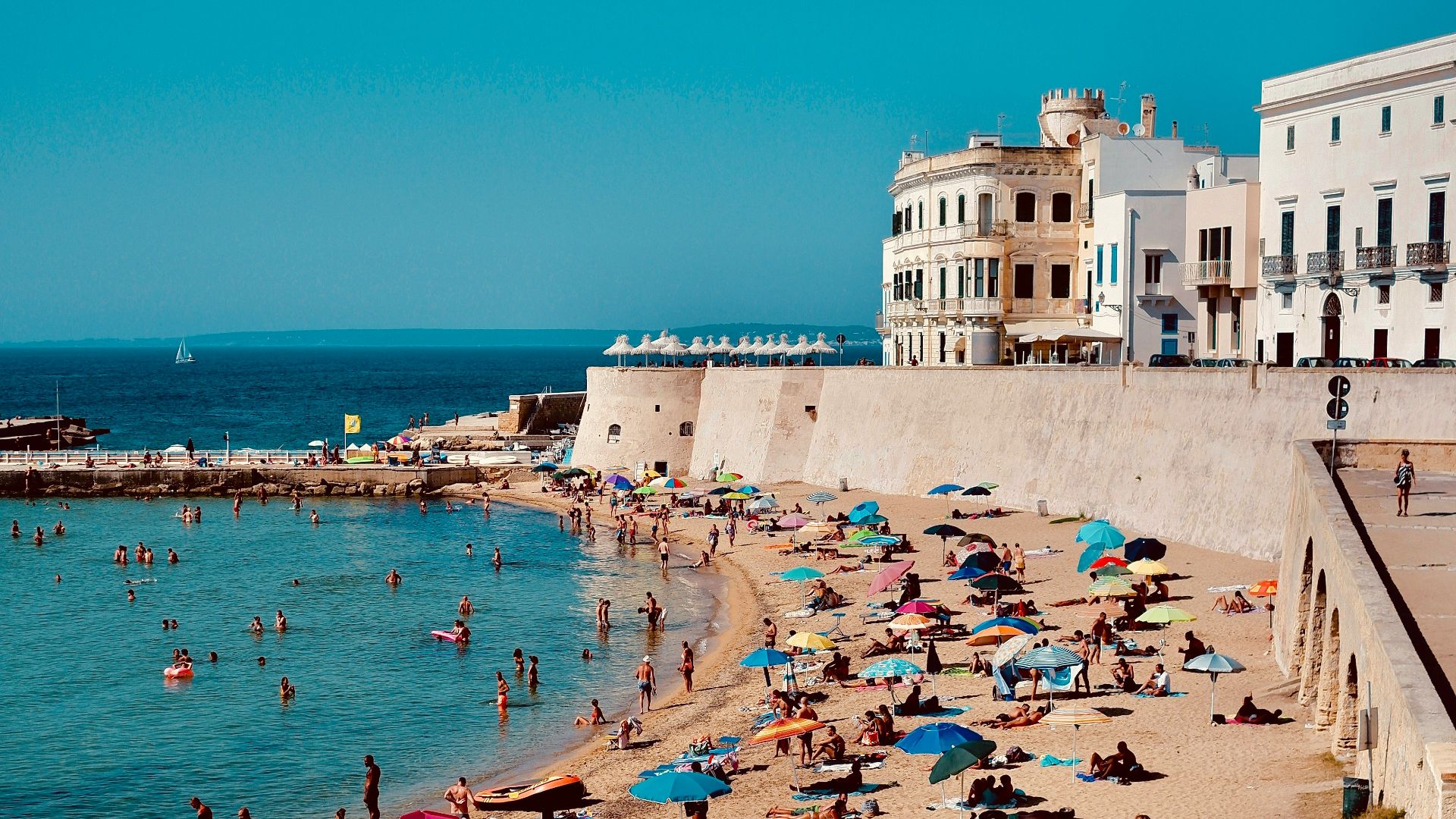 people on beach during daytime