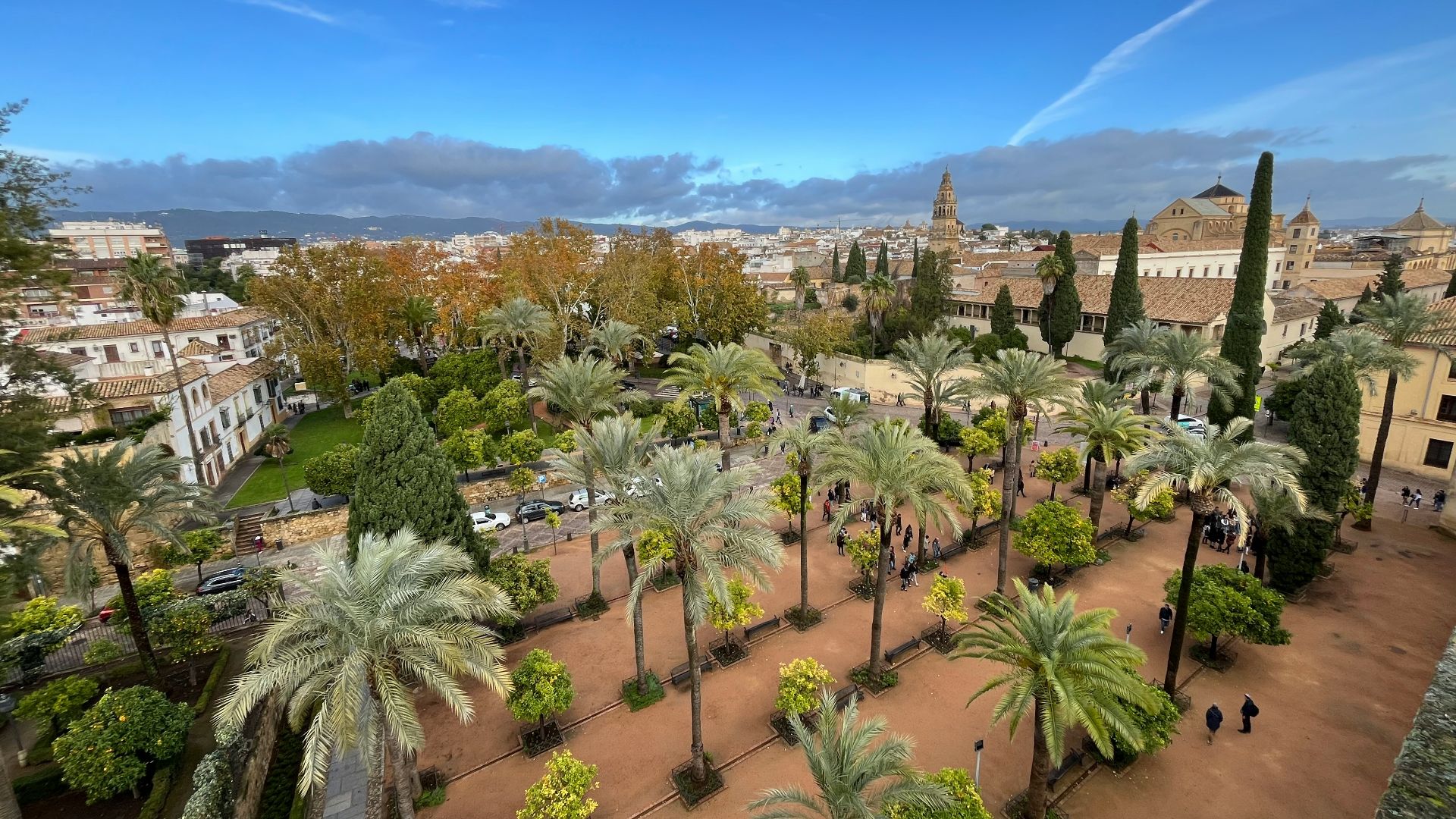 a park with palm trees and buildings in the background