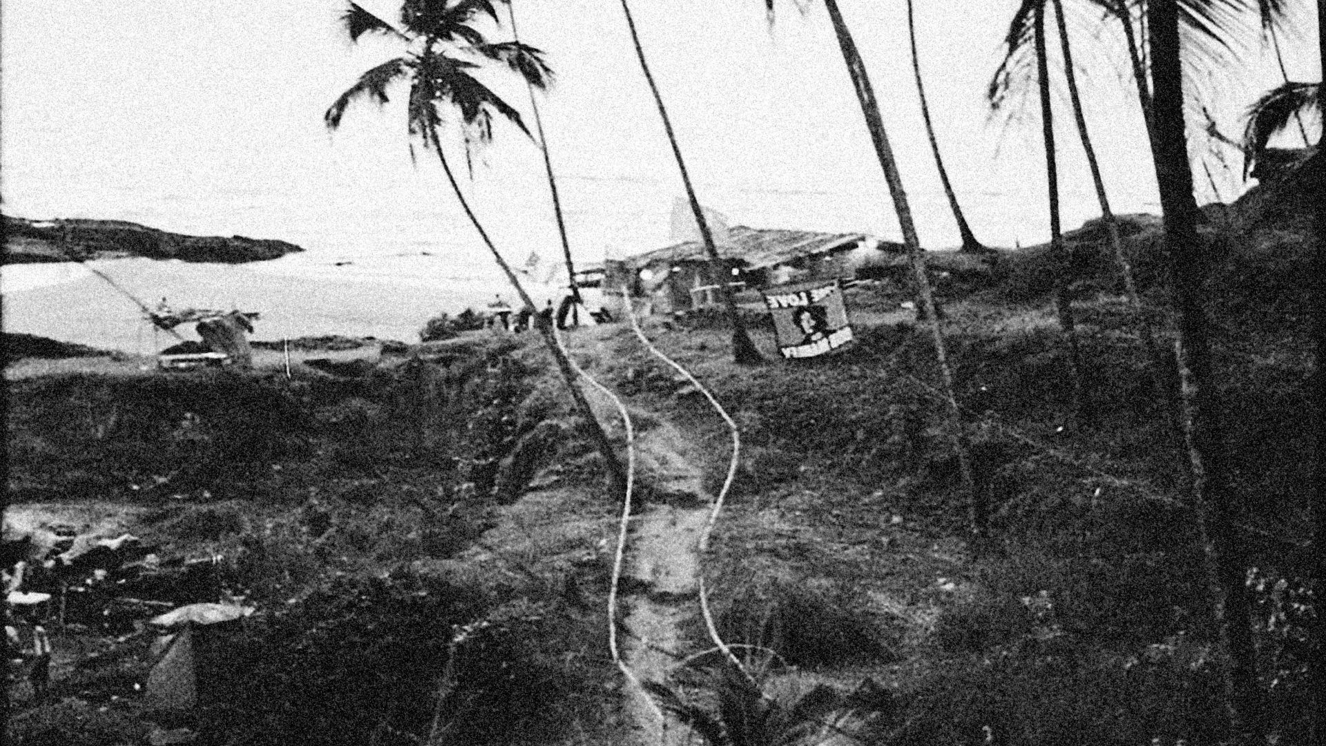 a black and white photo of a tent and palm trees