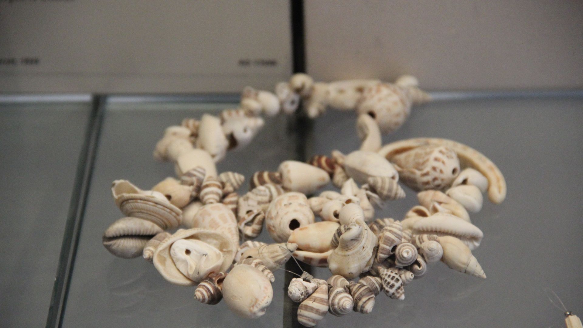 File:Shell Beads from Archaic Period of Sumer, 2900-2340 BC (28290502085).jpg