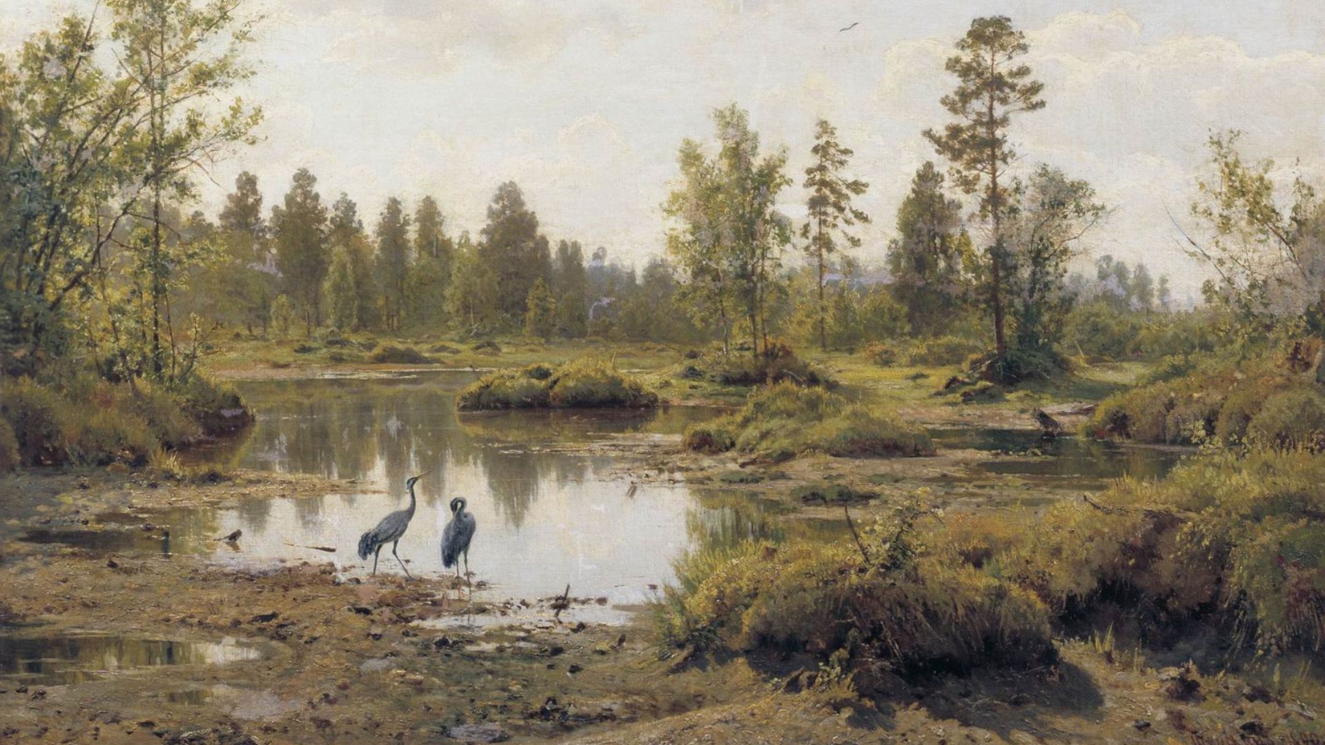 File:Marsh. Polissia.jpg