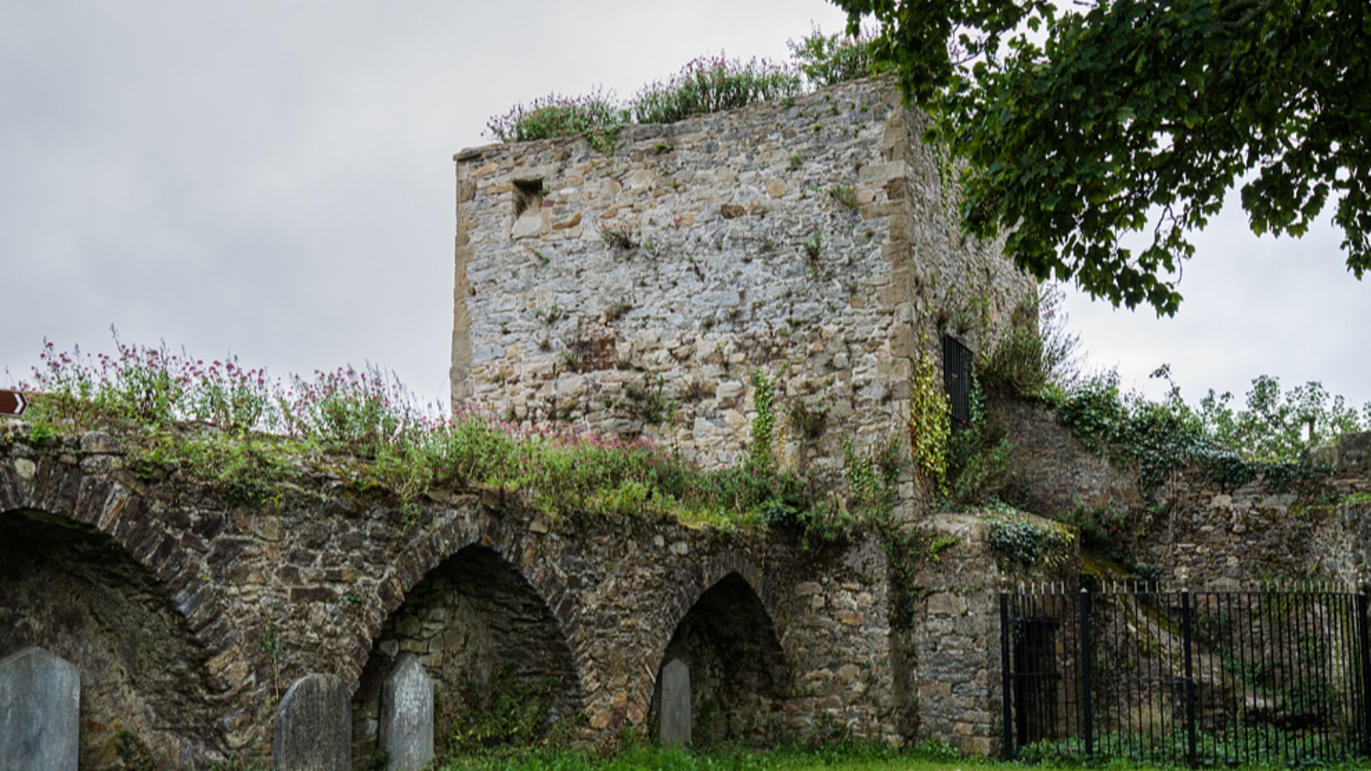 File:Castles of Munster, Clonmel, Tipperary (2) - geograph.org.uk - 6977009.jpg