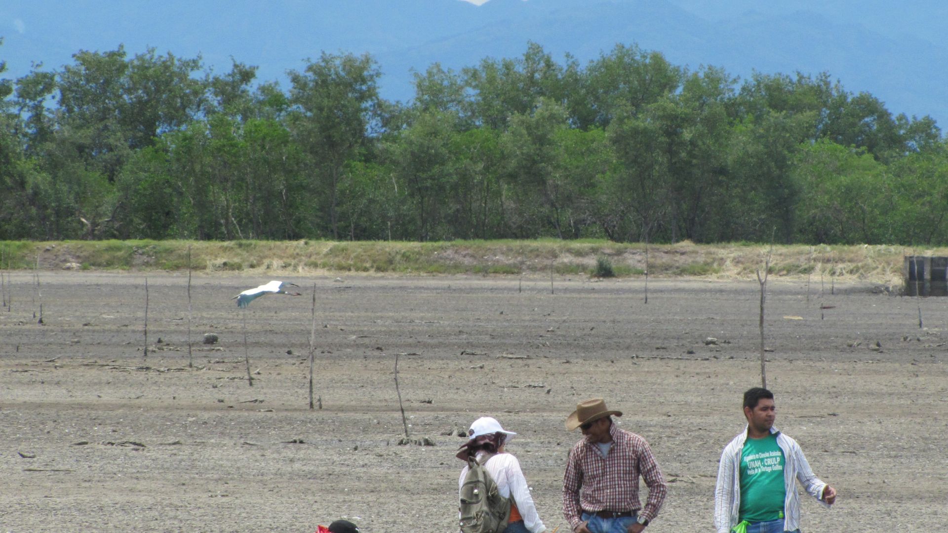 File:Honduran shrimp farm (33768419571).jpg