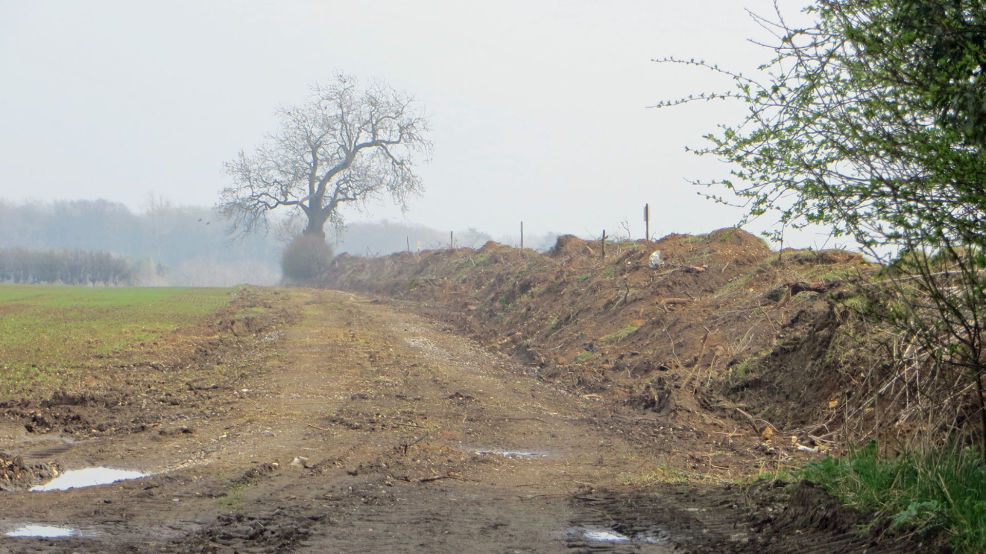 File:Destroyed Hedgerow - geograph.org.uk - 3912327.jpg