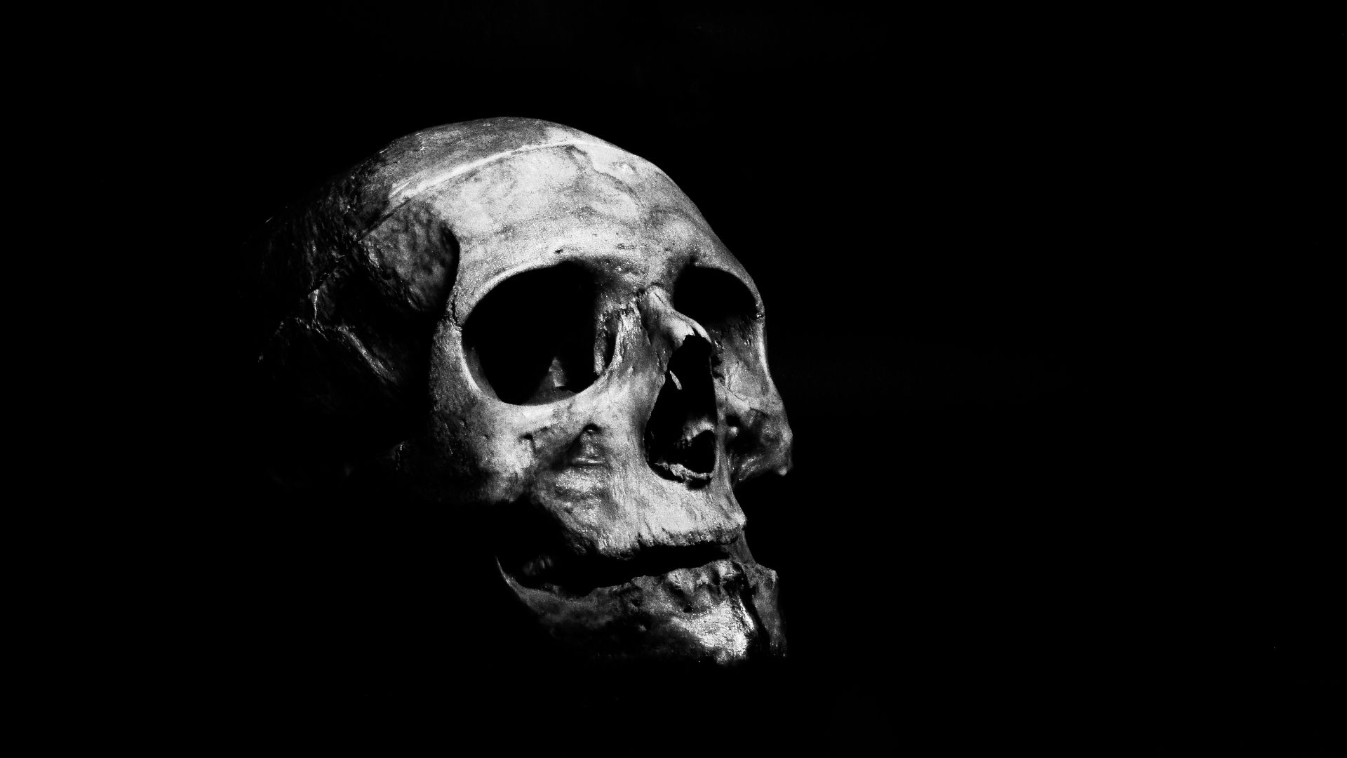 a black and white photo of a human skull