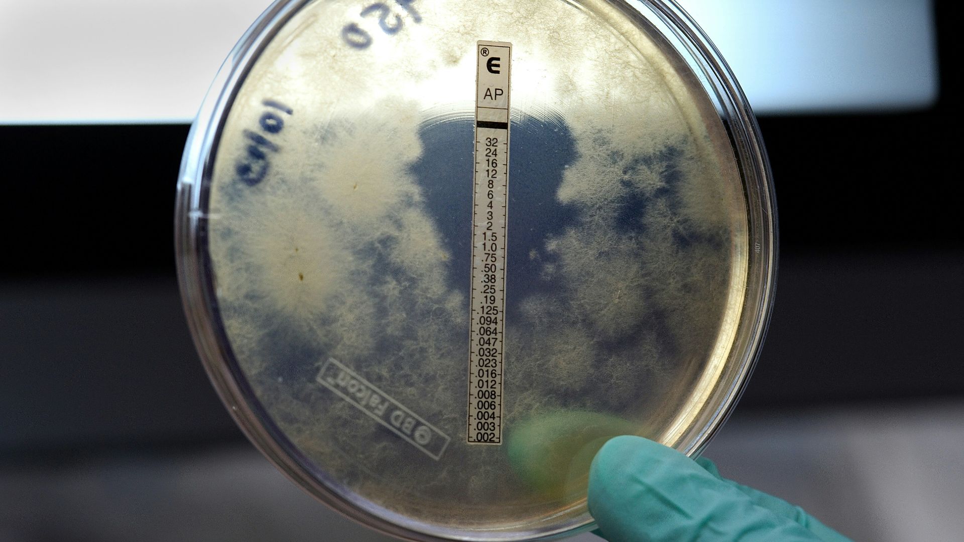 a person holding a thermometer in their hand