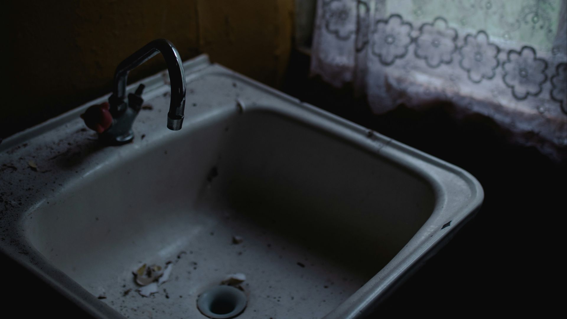 fragments in sink near window