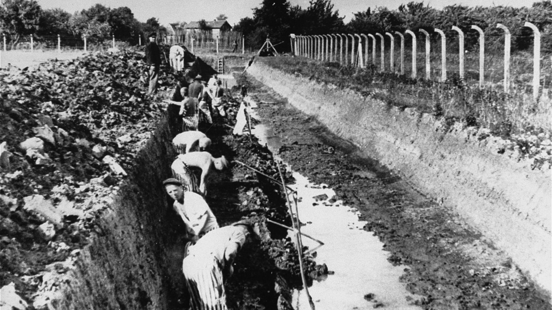 File:Forced labor at Neuengamme concentration camp.jpg