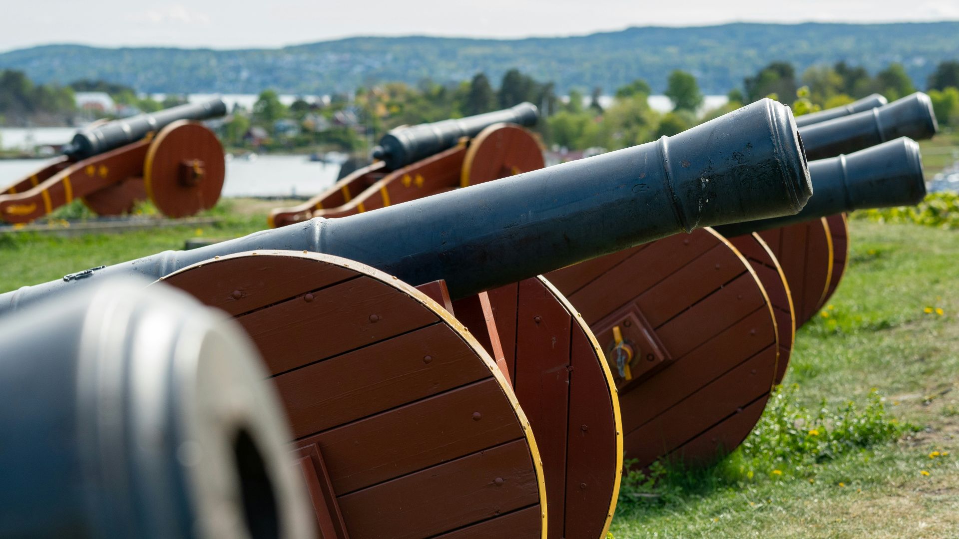 a row of wooden barrels sitting on top of a grass covered field