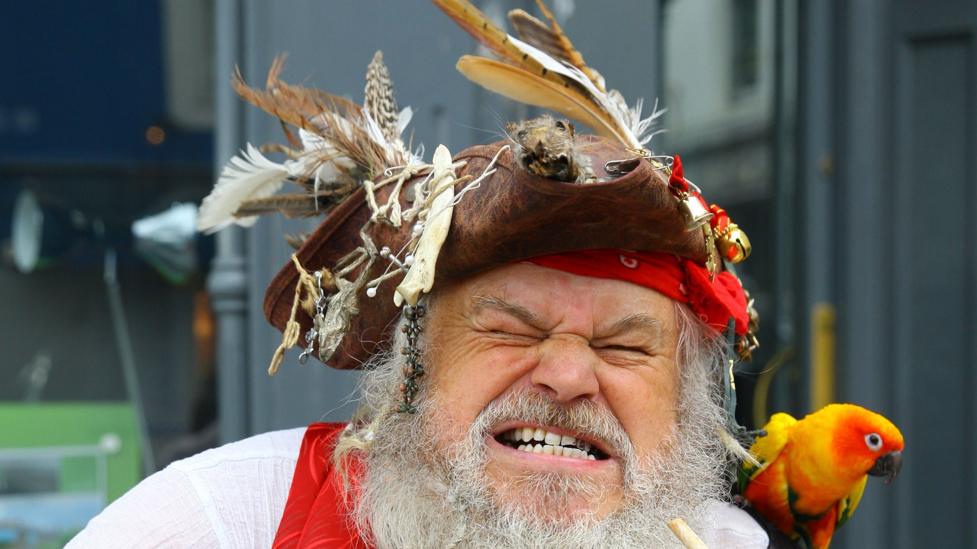 File:FDBY9371 (48307497741).jpg