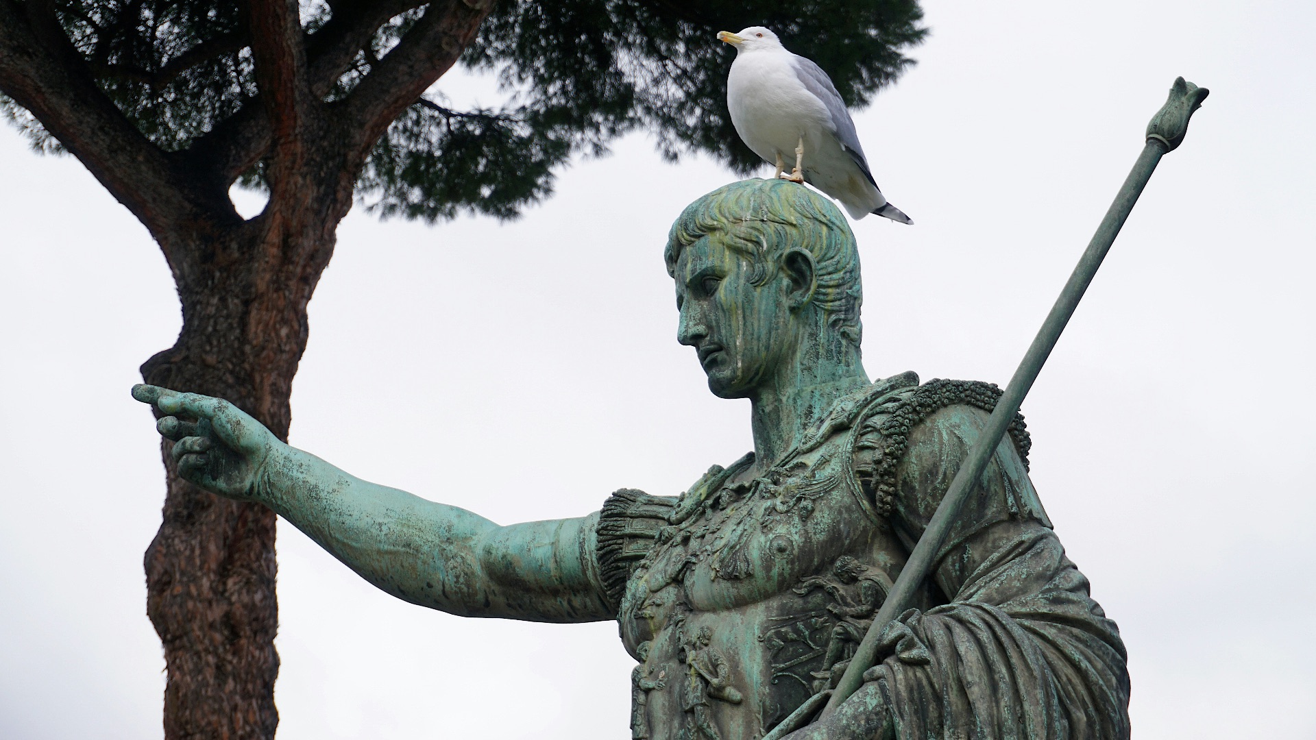 a statue with a bird perched on top of it