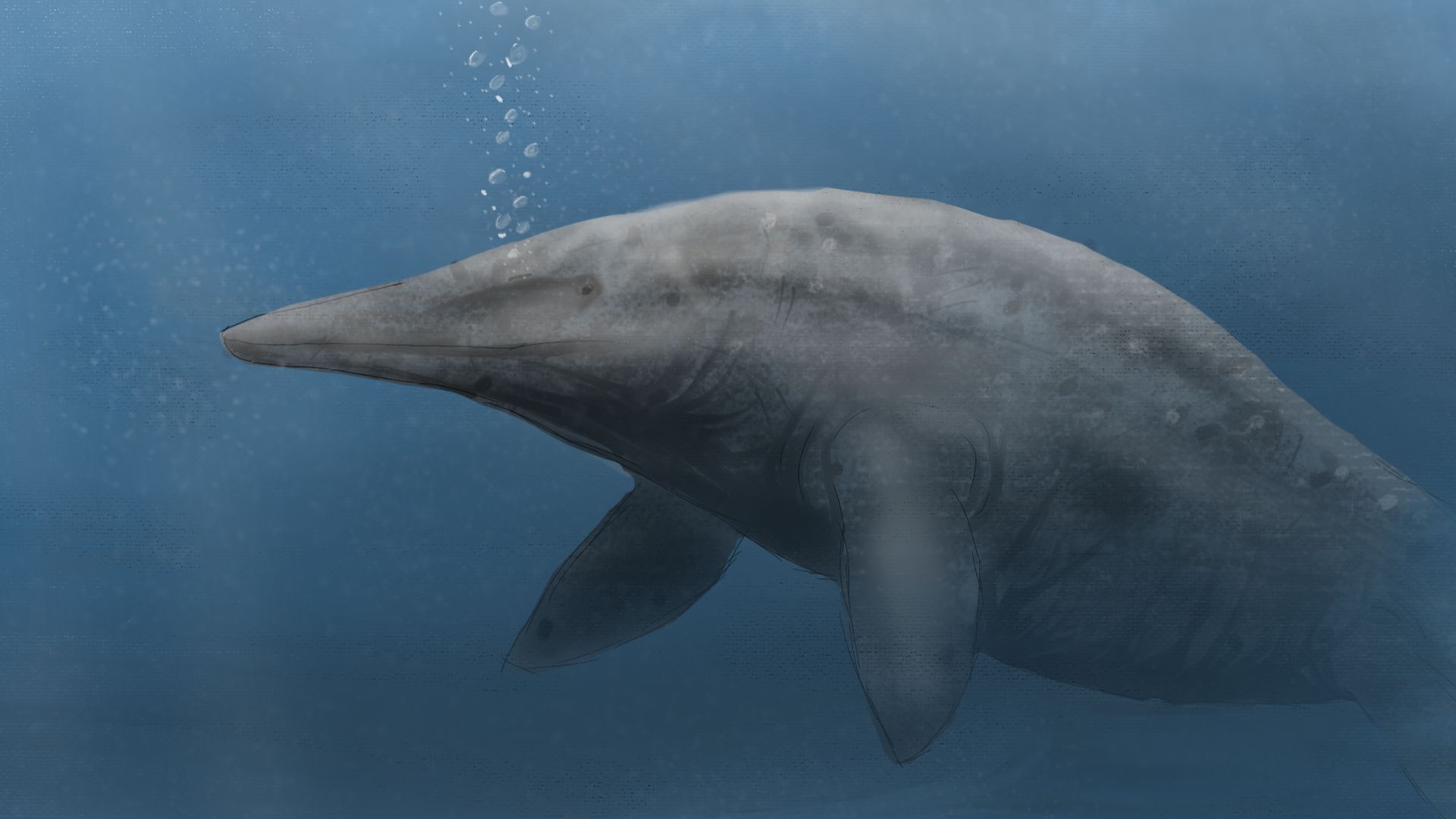 File:Shastasaurus sikanniensis.png